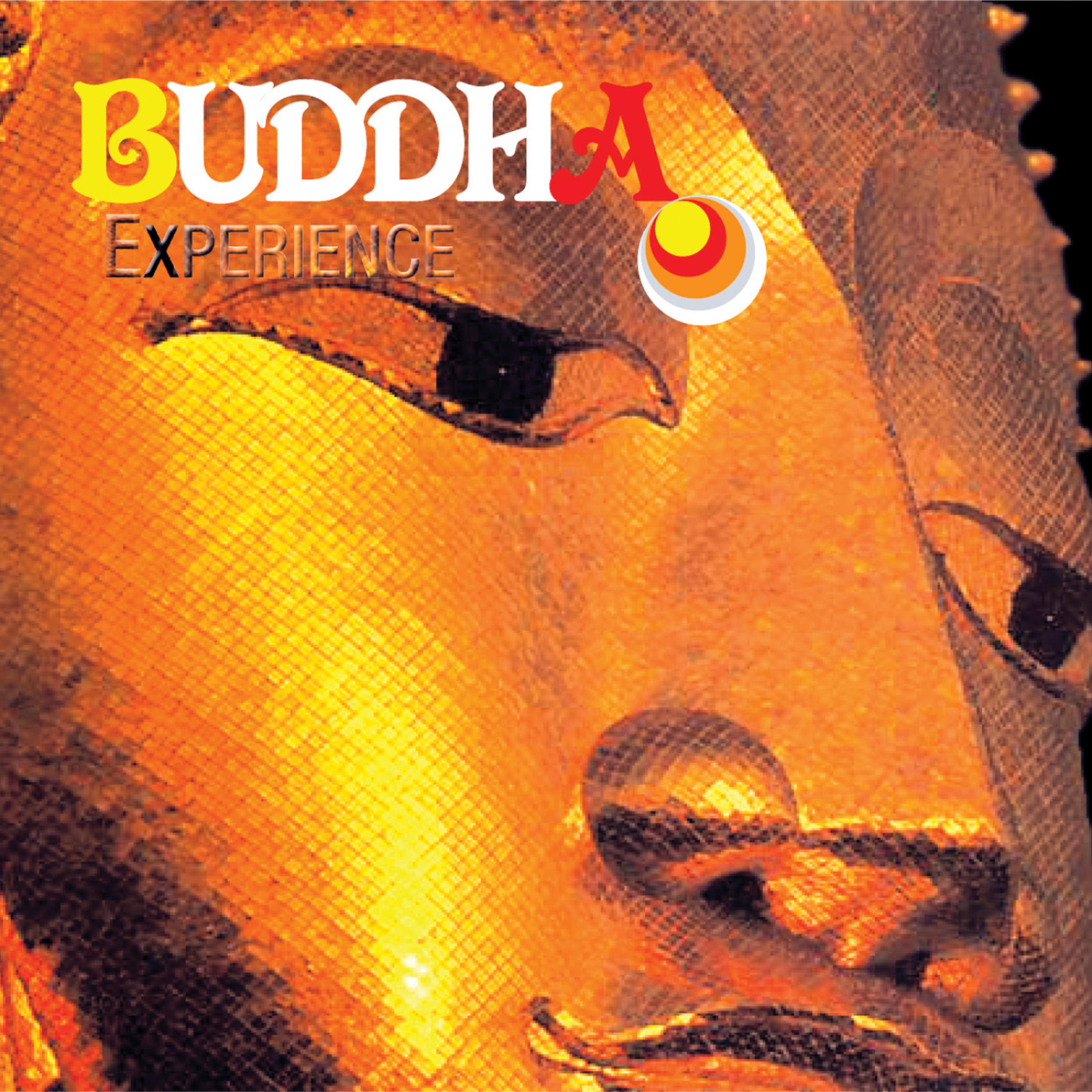 Постер альбома Buddha Experience