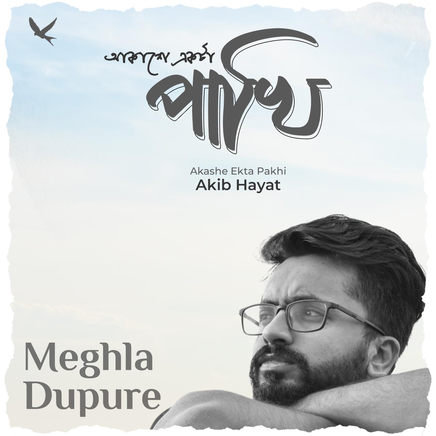 Постер альбома Meghla Dupure