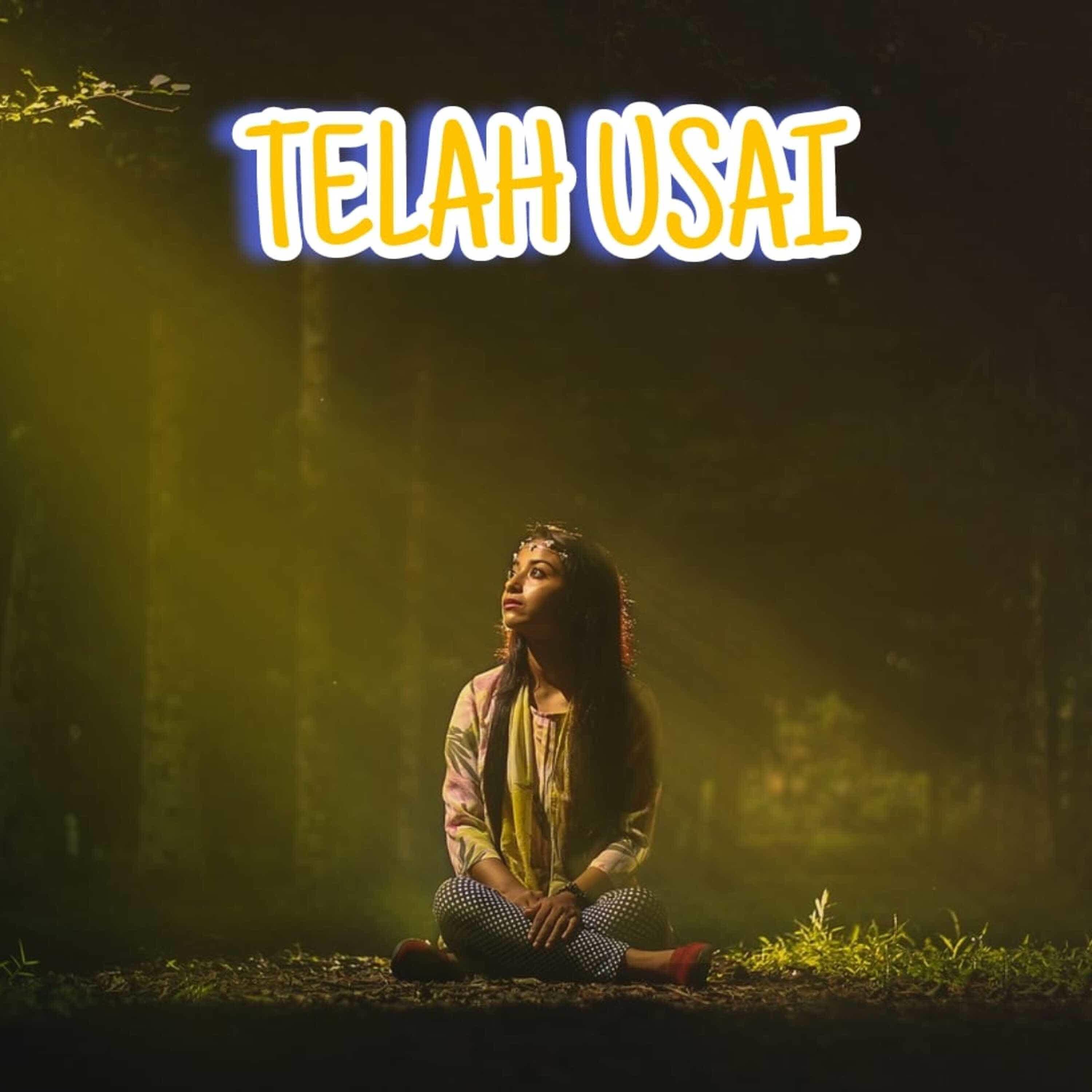 Постер альбома TELAH USAI