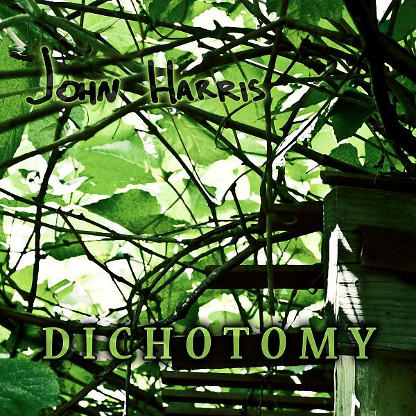 Постер альбома DICHOTOMY