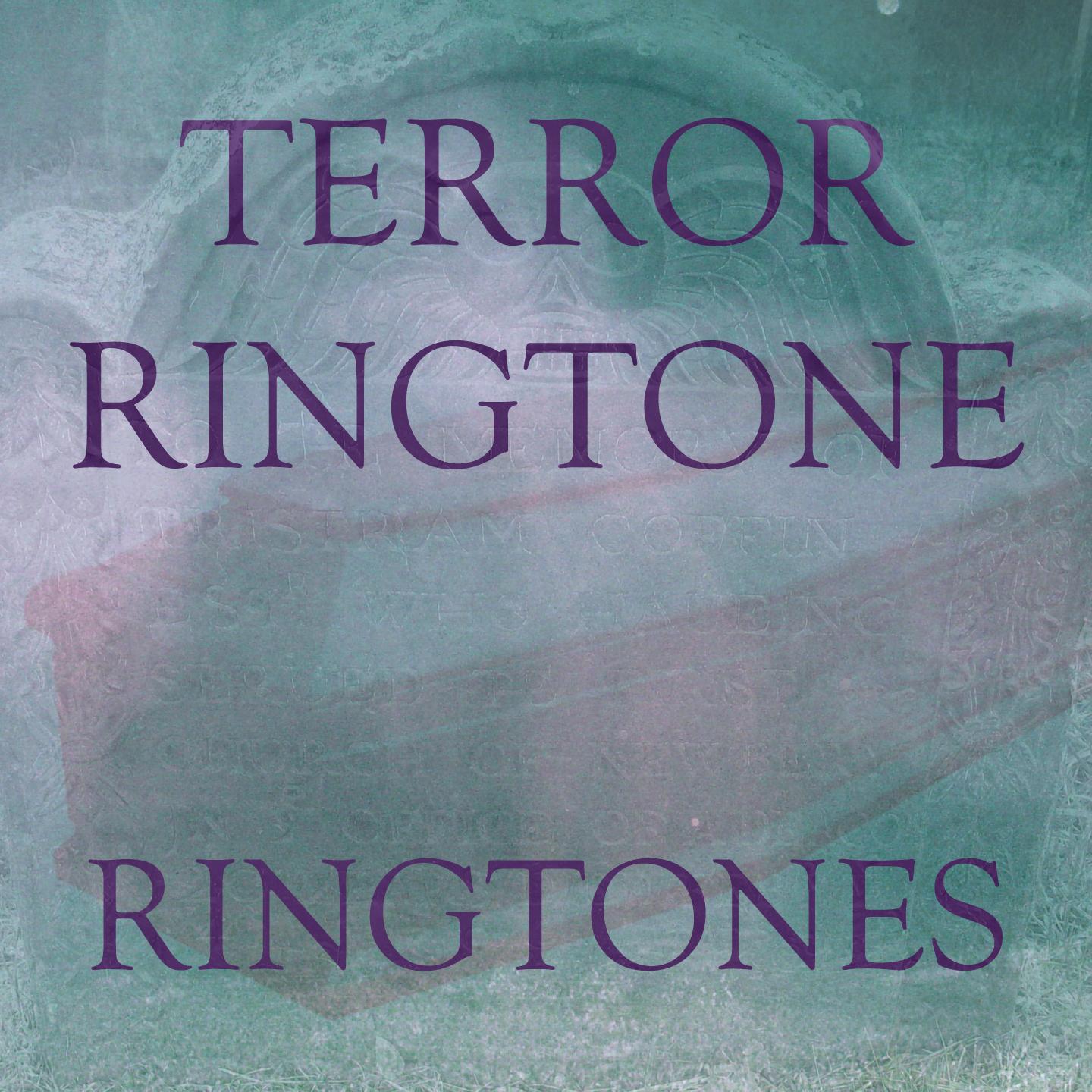Постер альбома Terror Ringtone