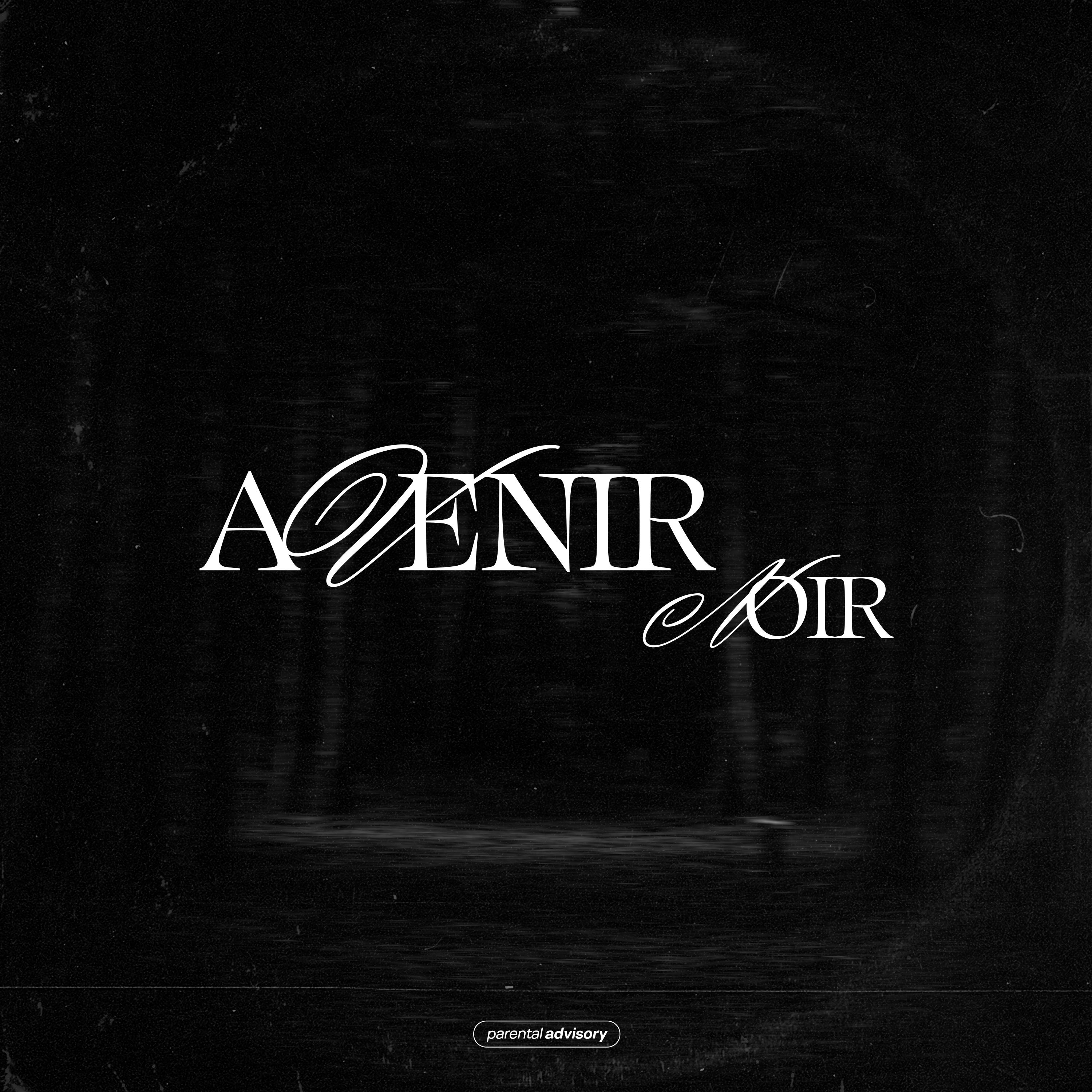 Постер альбома Avenir Noir