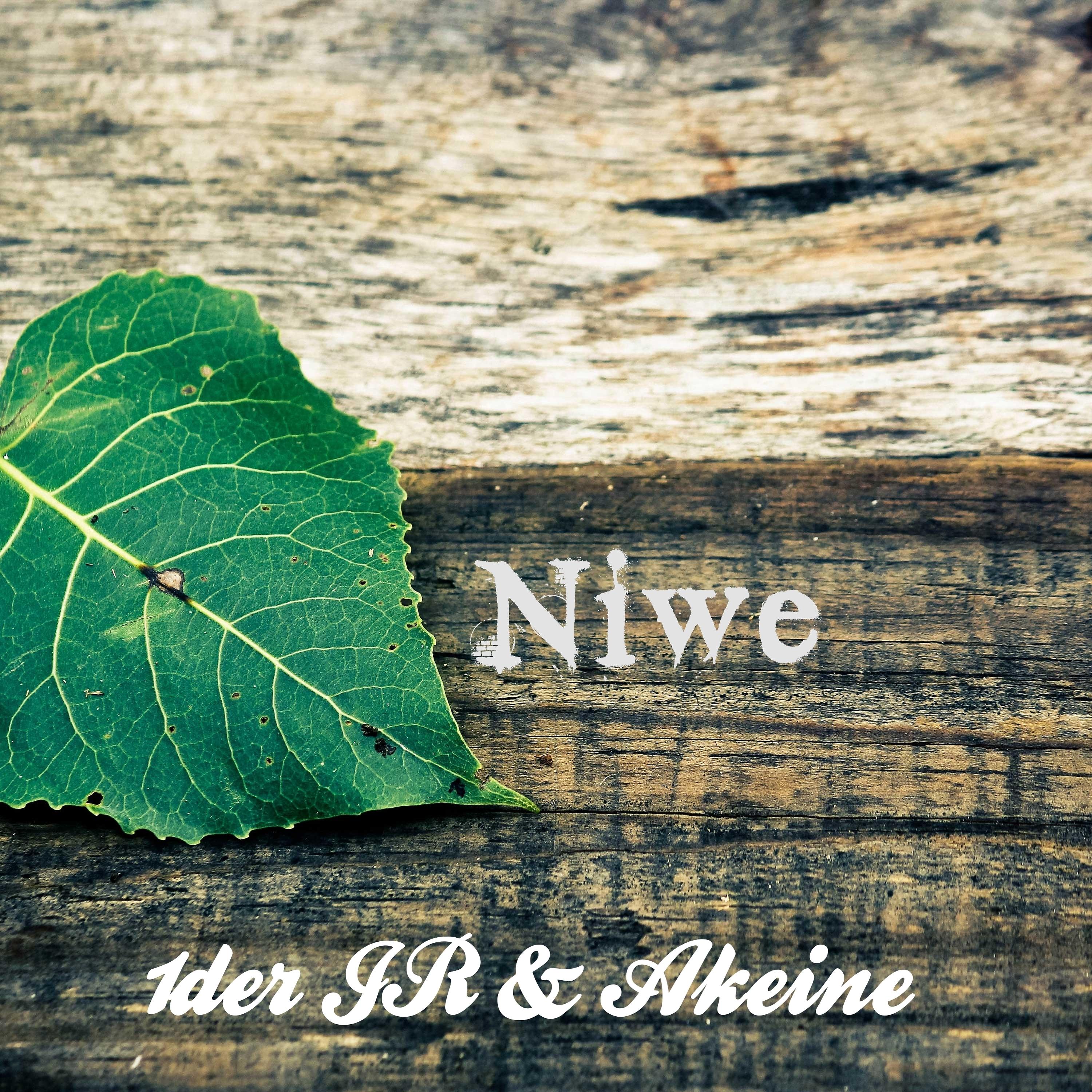 Постер альбома Niwe