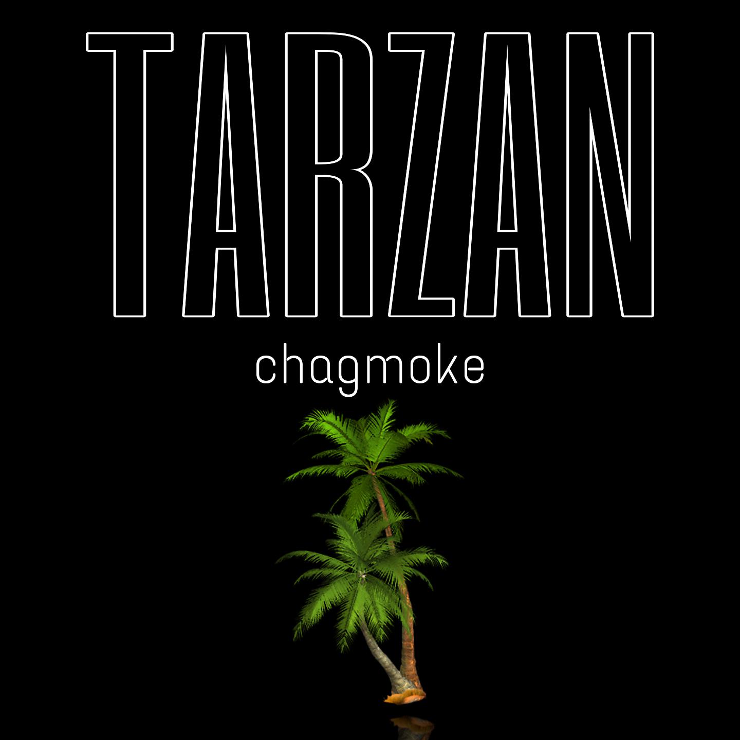 Постер альбома Tarzan