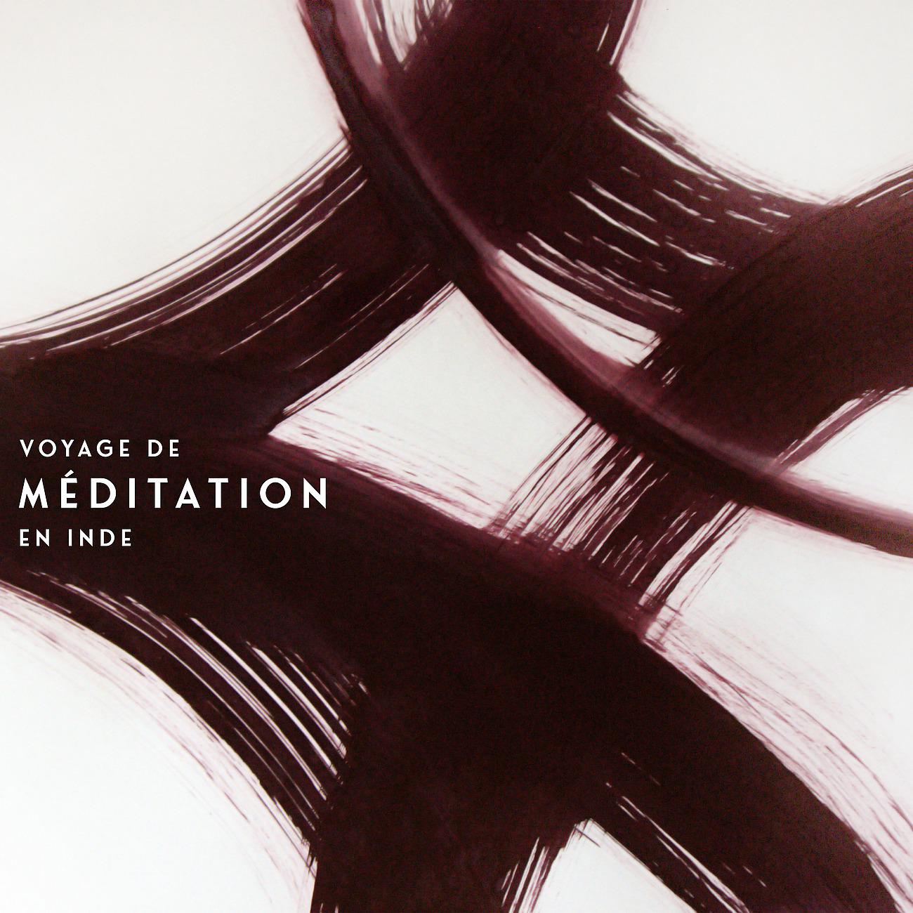 Постер альбома Voyage de méditation en Inde