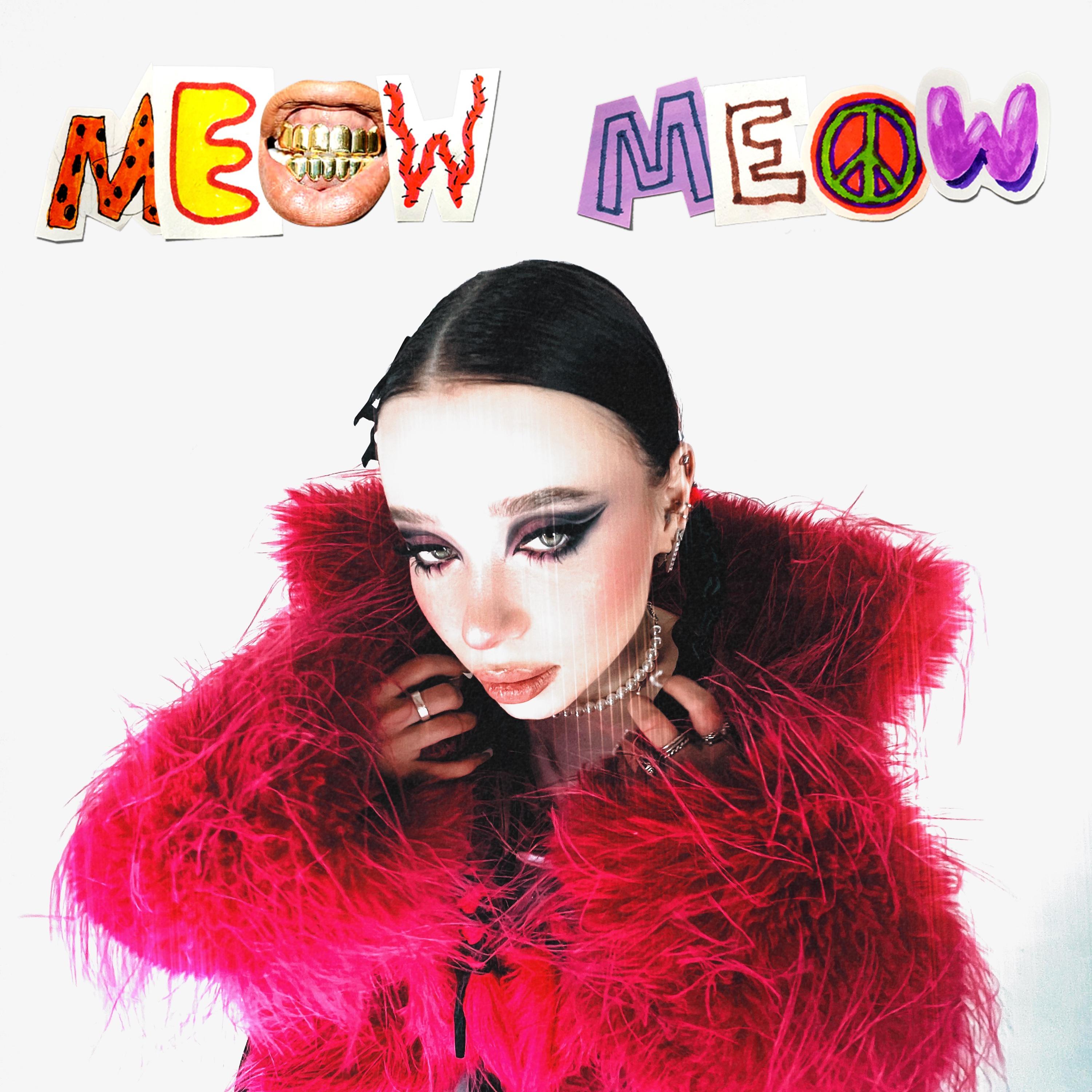 Постер альбома Meow meow