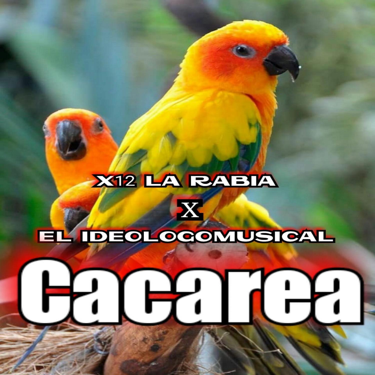 Постер альбома Cacarea