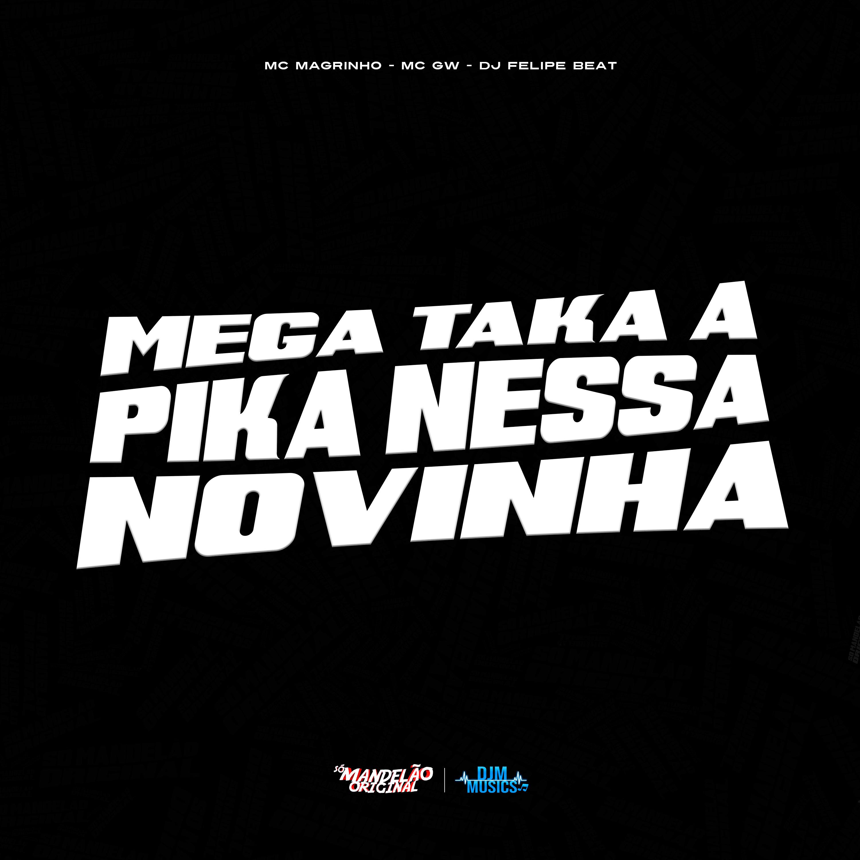 Постер альбома Mega Taka a Pika Nessa Novinha