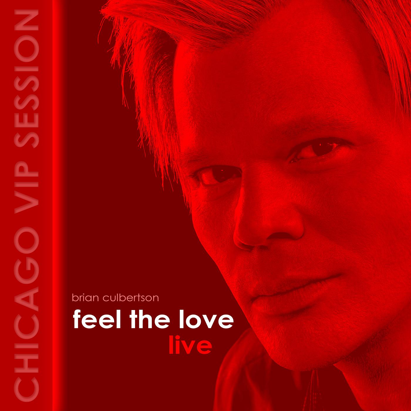 Постер альбома Feel the Love (Chicago VIP Session) [Live]
