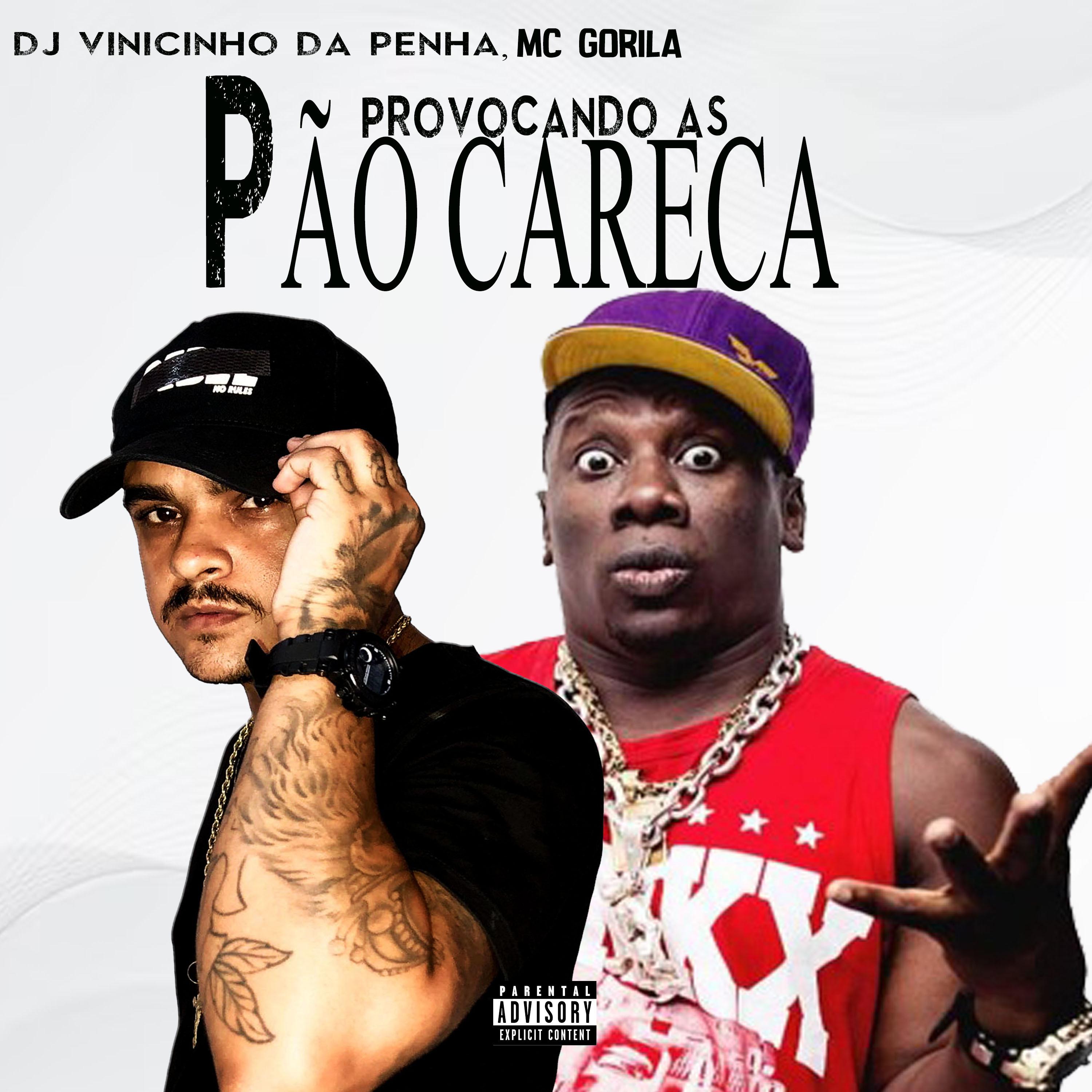 Постер альбома Provocando as Pão Careca