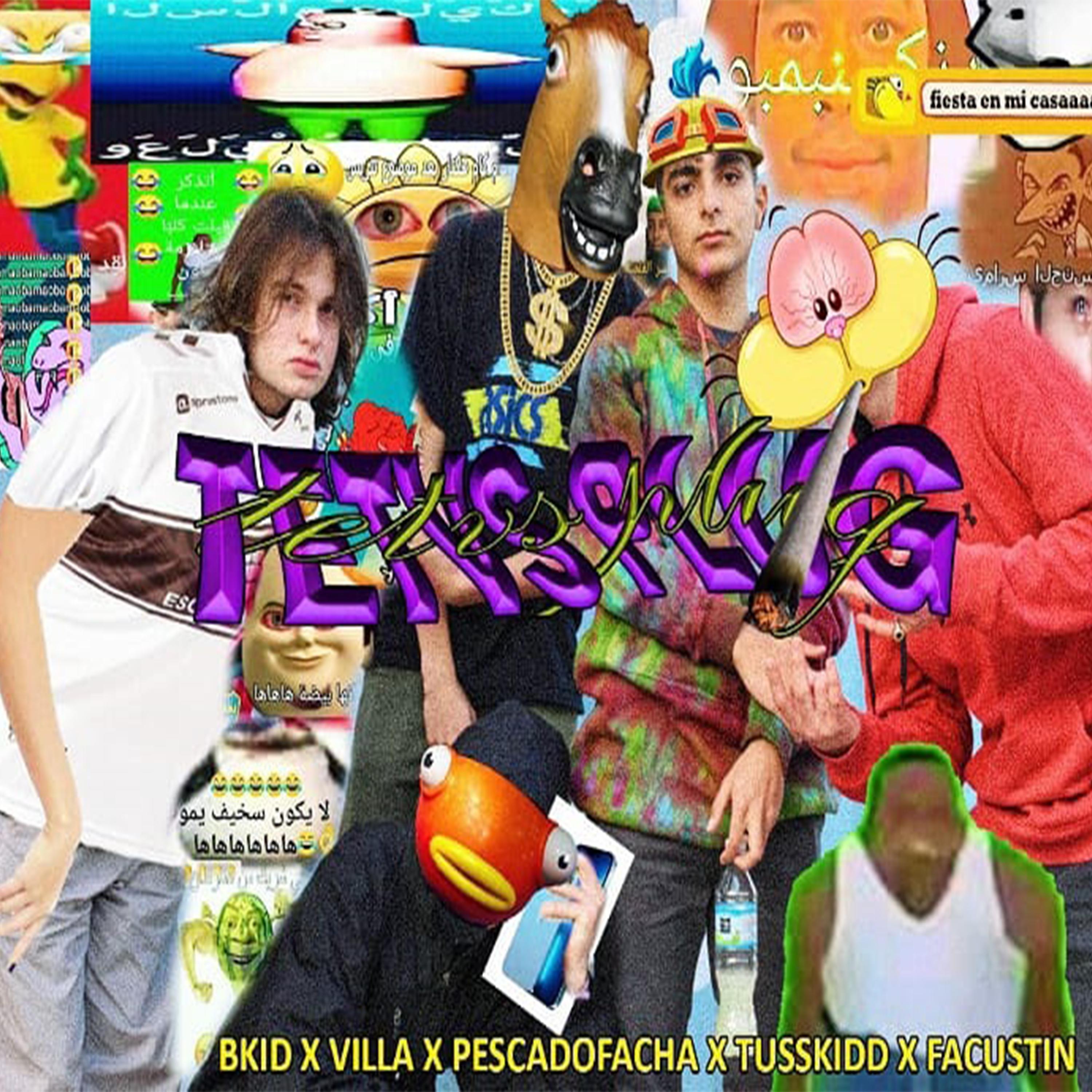 Постер альбома Tetvs Plug