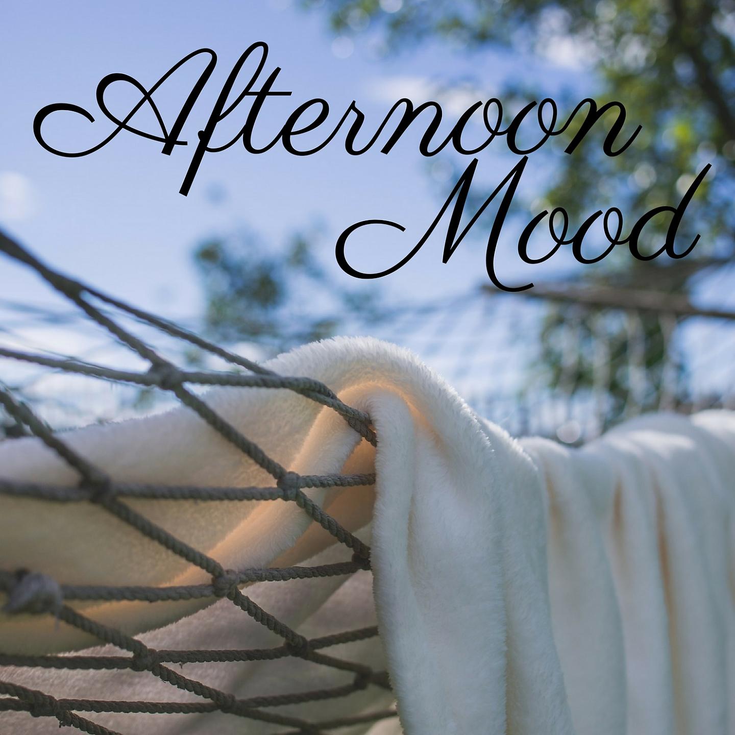 Постер альбома Afternoon Mood - Classical Music