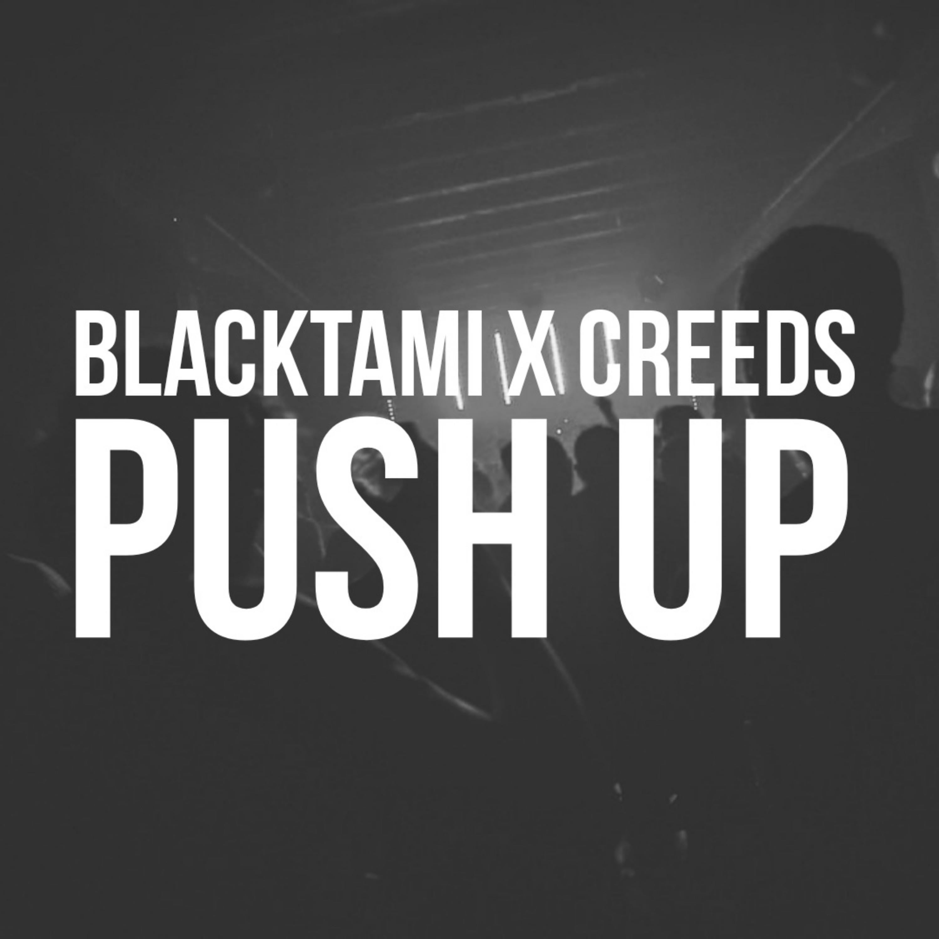 Постер альбома Push Up (feat. Creeds)