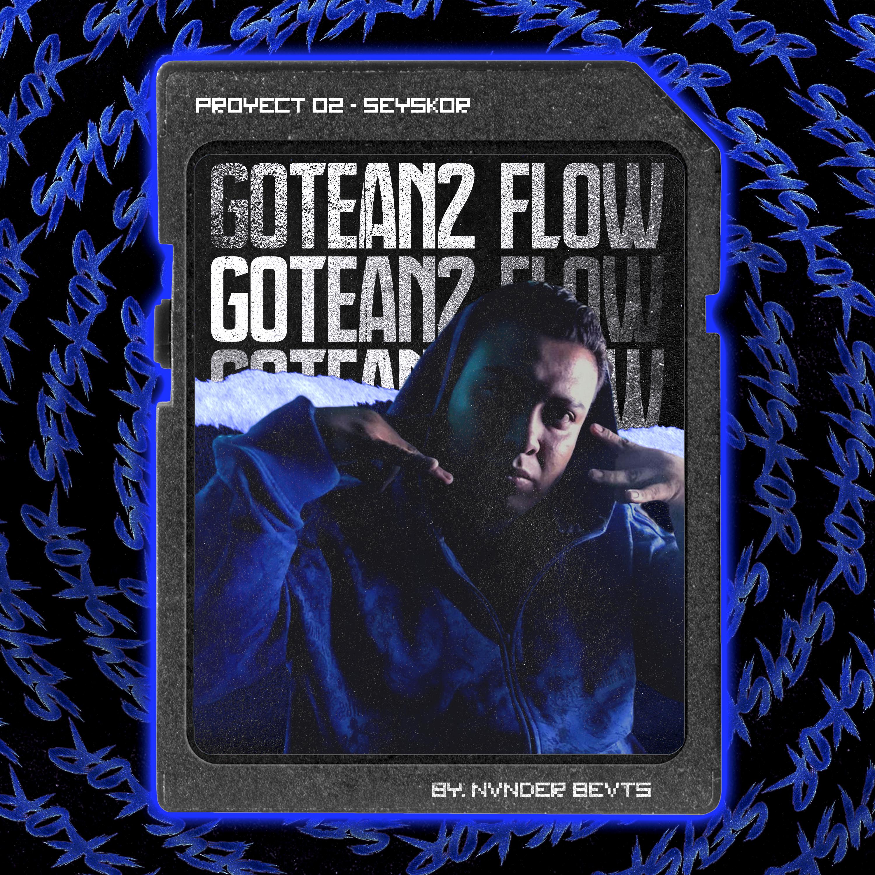 Постер альбома Gotean2 Flow #2
