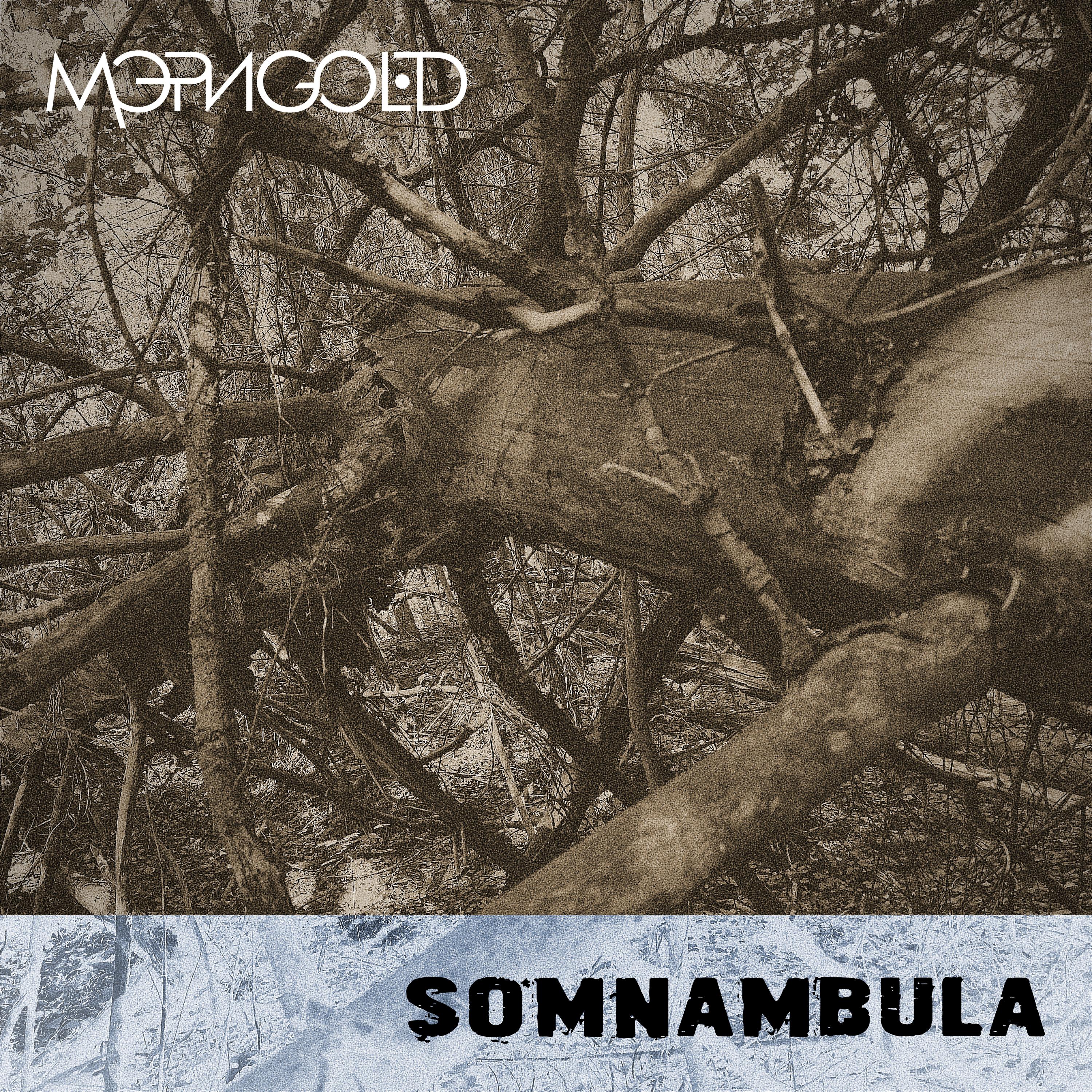 Постер альбома Somnambula