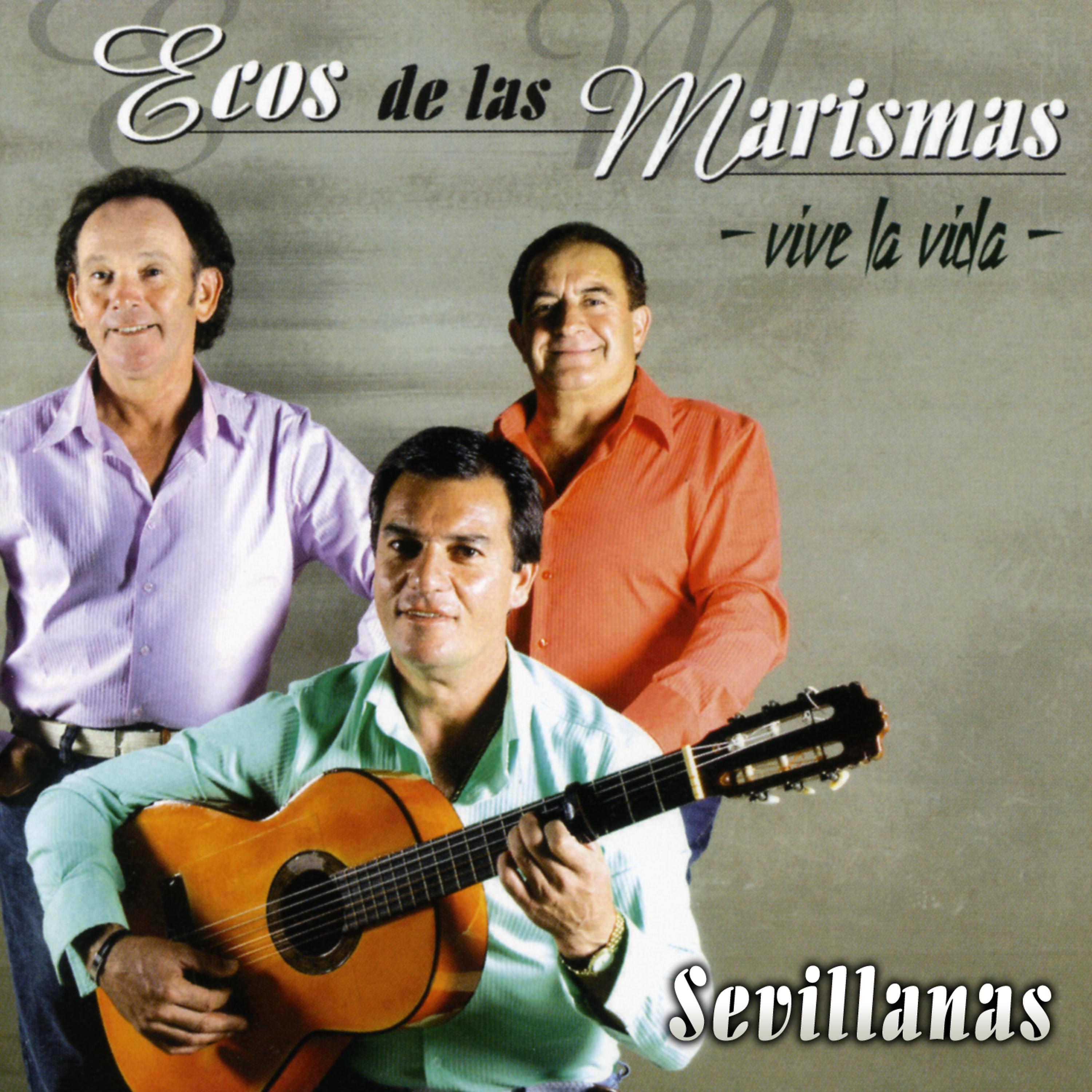 Постер альбома Sevillanas. Vive la Vida