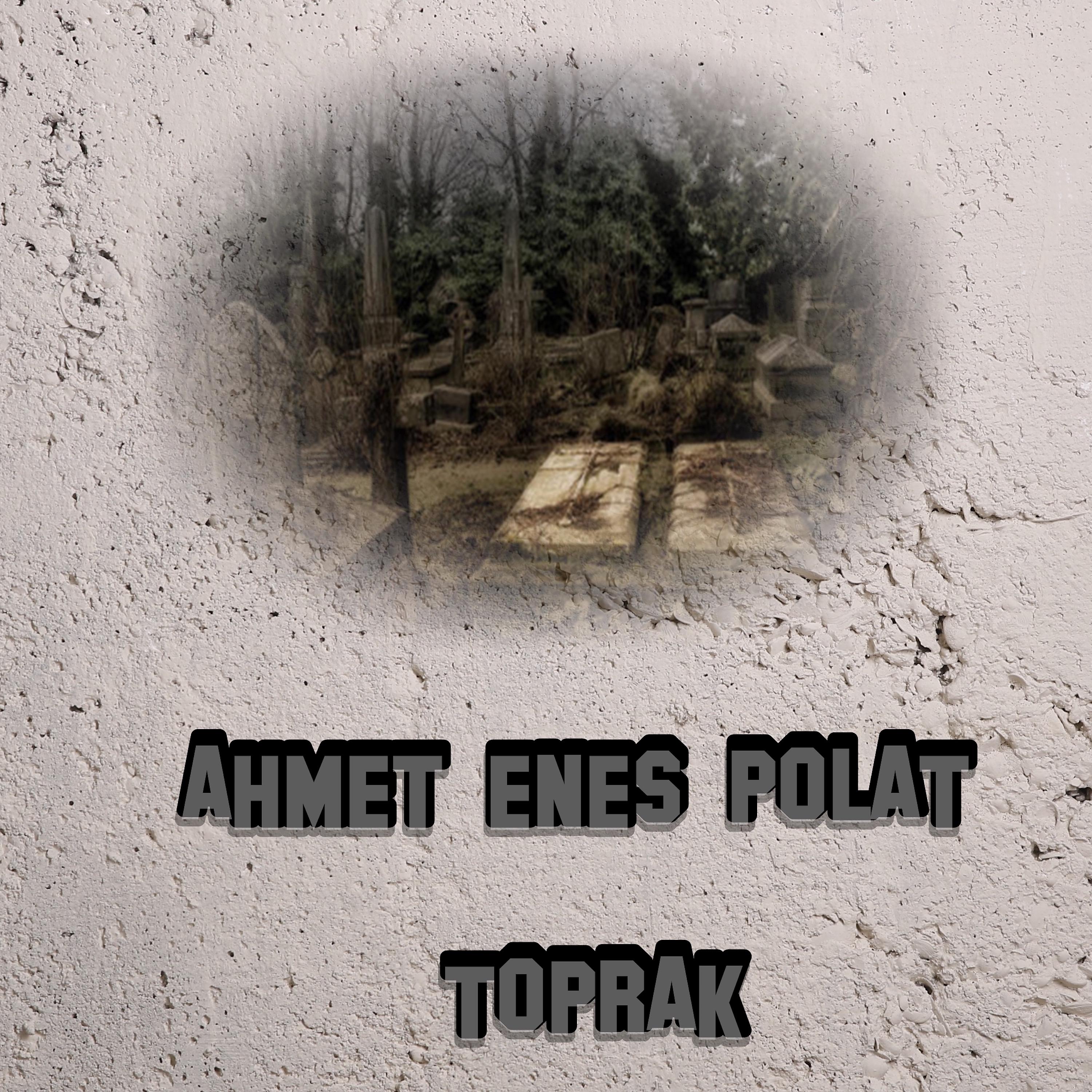 Постер альбома Toprak