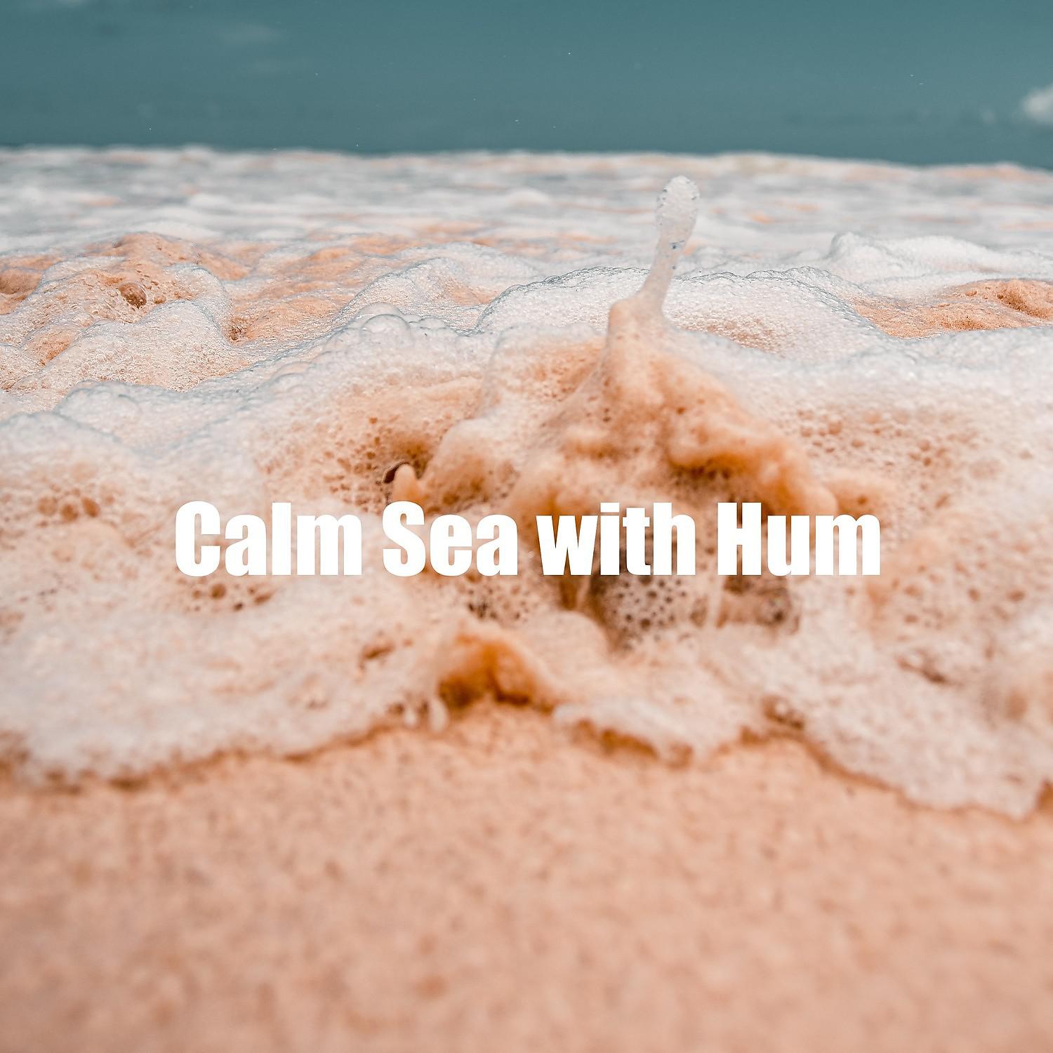Постер альбома Calm Sea with Hum