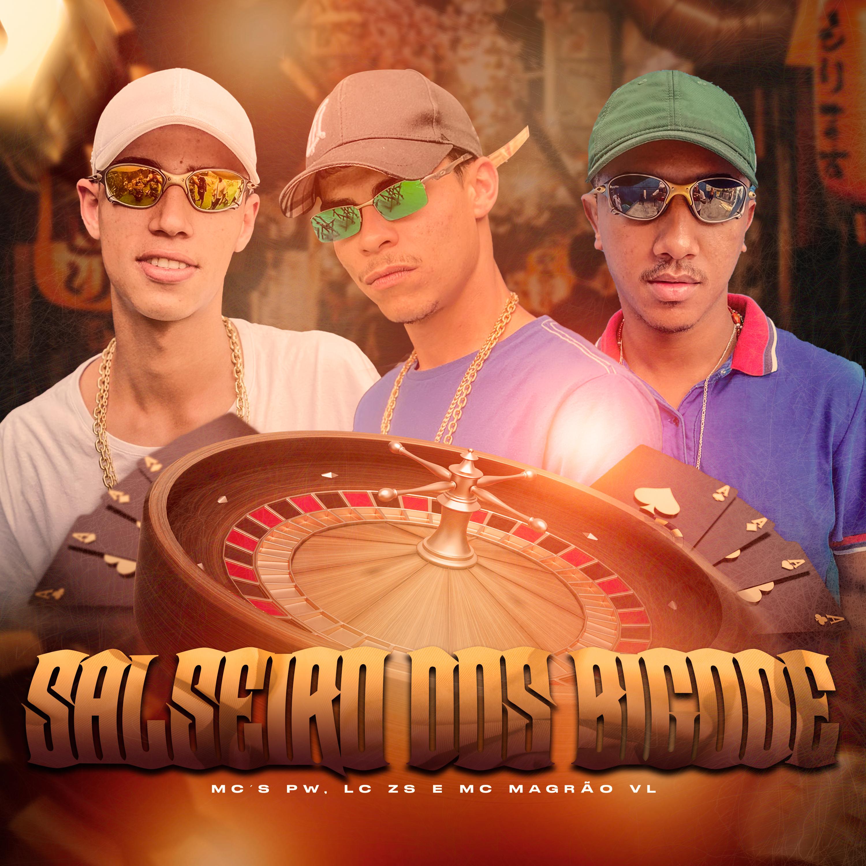 Постер альбома Salseiro dos Bigode