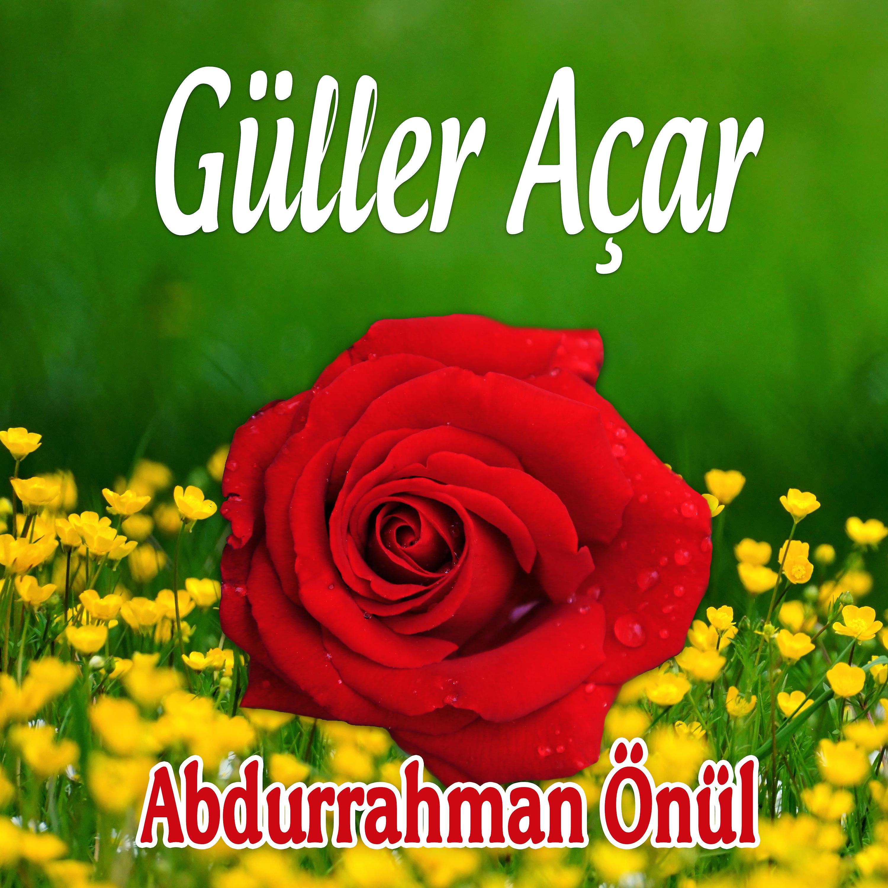 Постер альбома Güller Açar