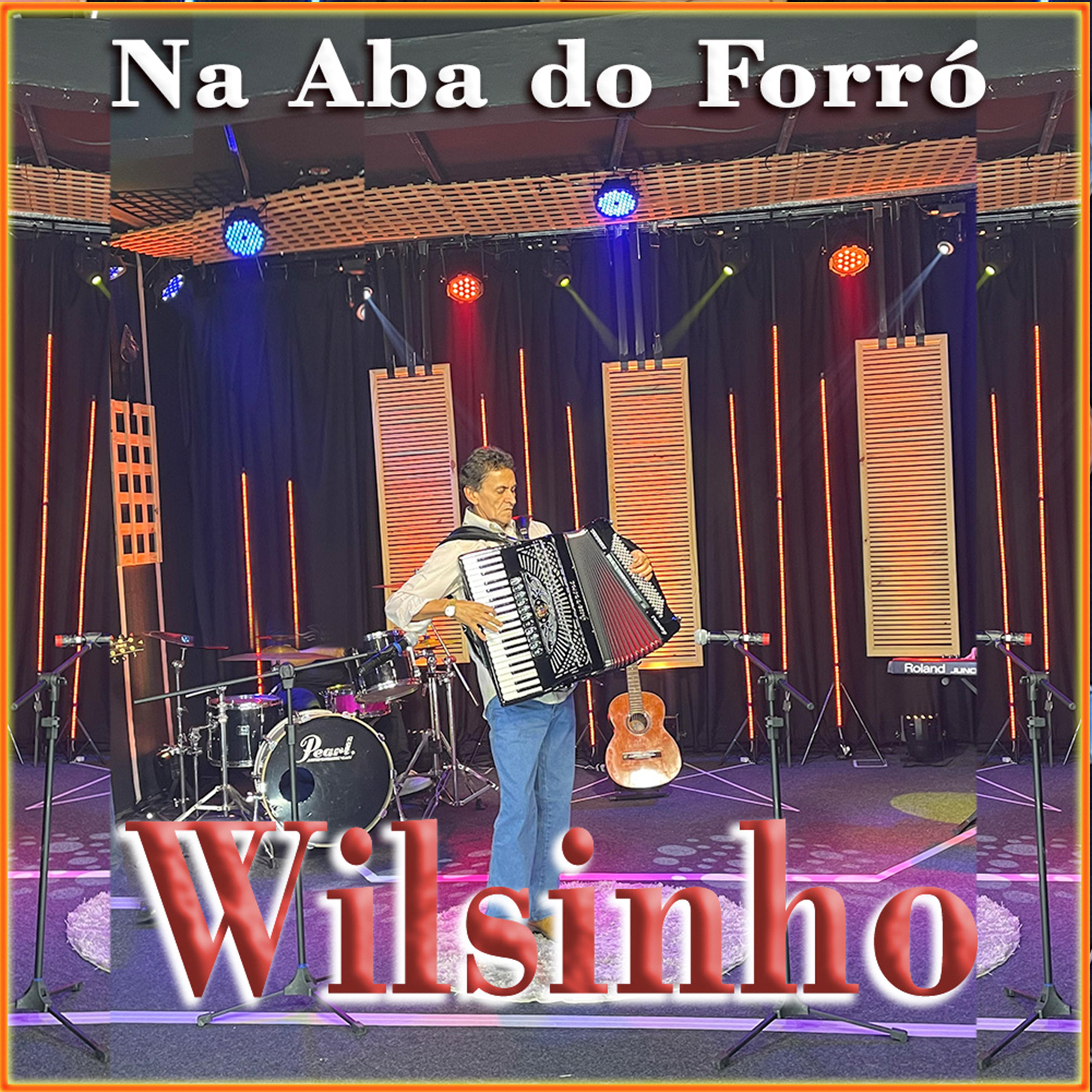 Постер альбома Na Aba do Forró