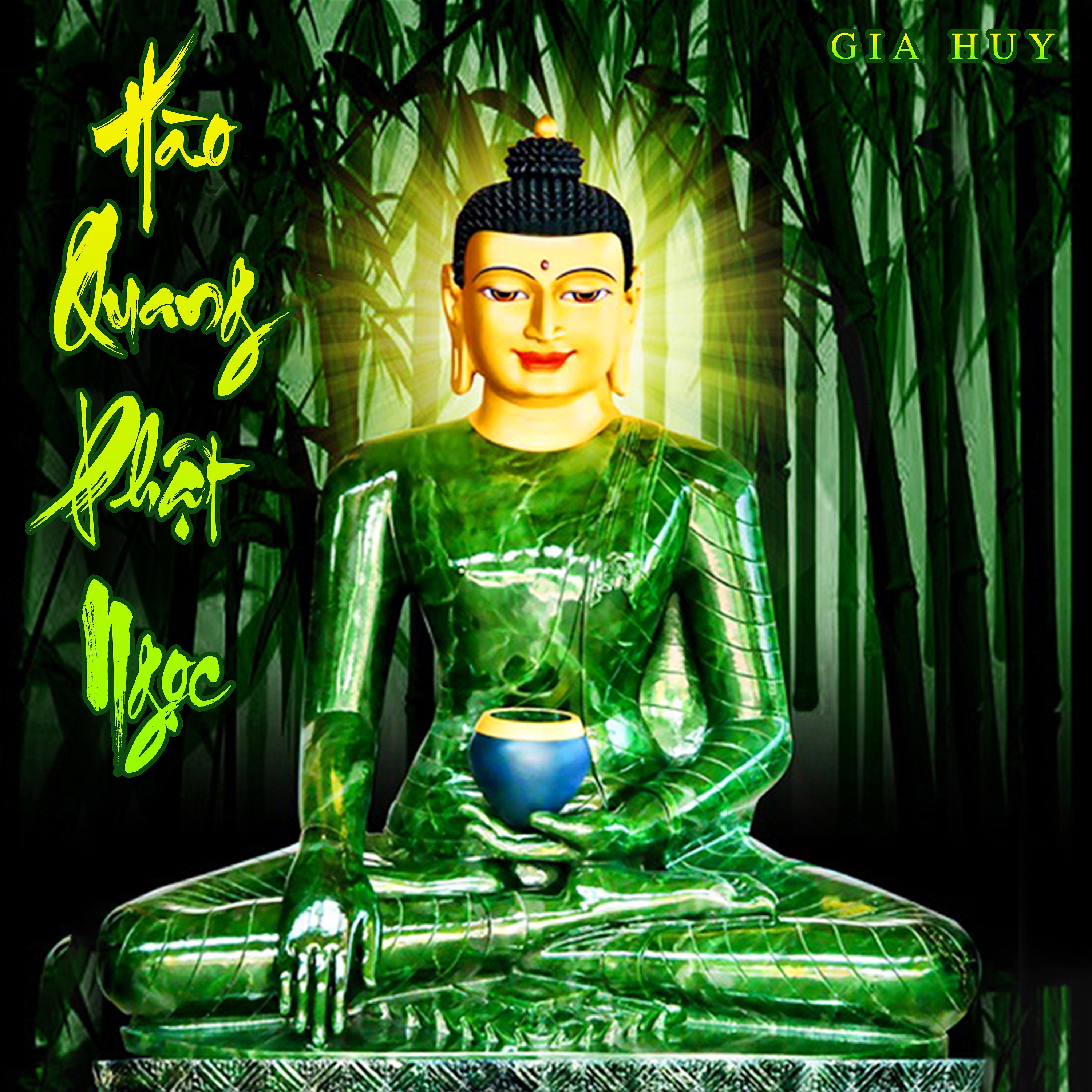 Постер альбома Hào Quang Phật Ngọc