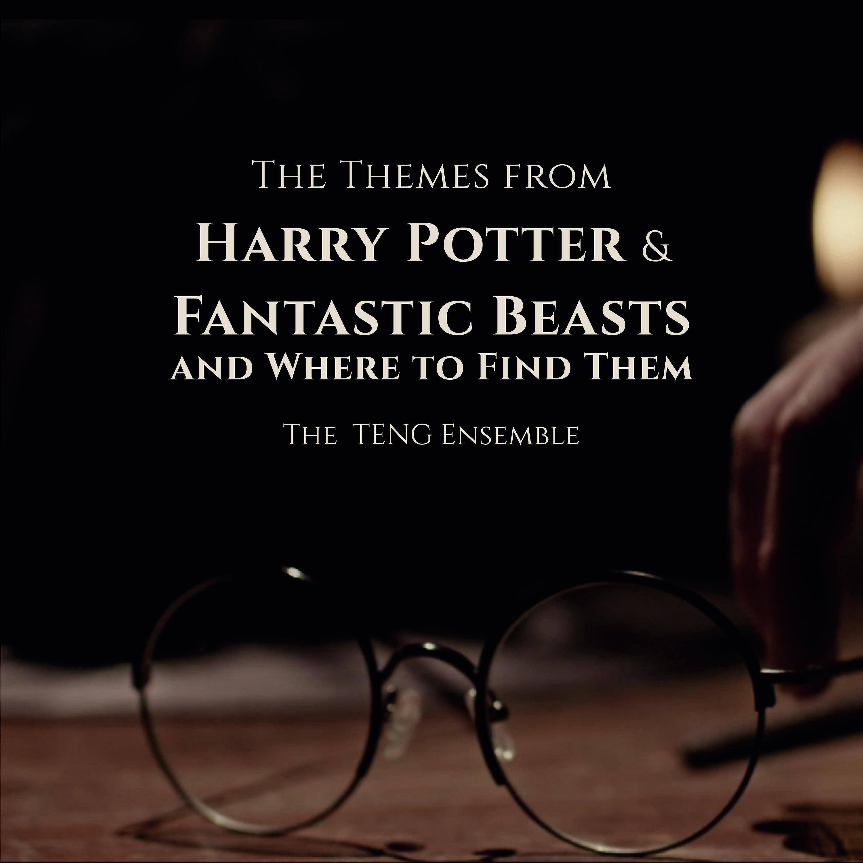 Постер альбома The Themes from Harry Potter & Fantastic Beasts and Where to Find Them