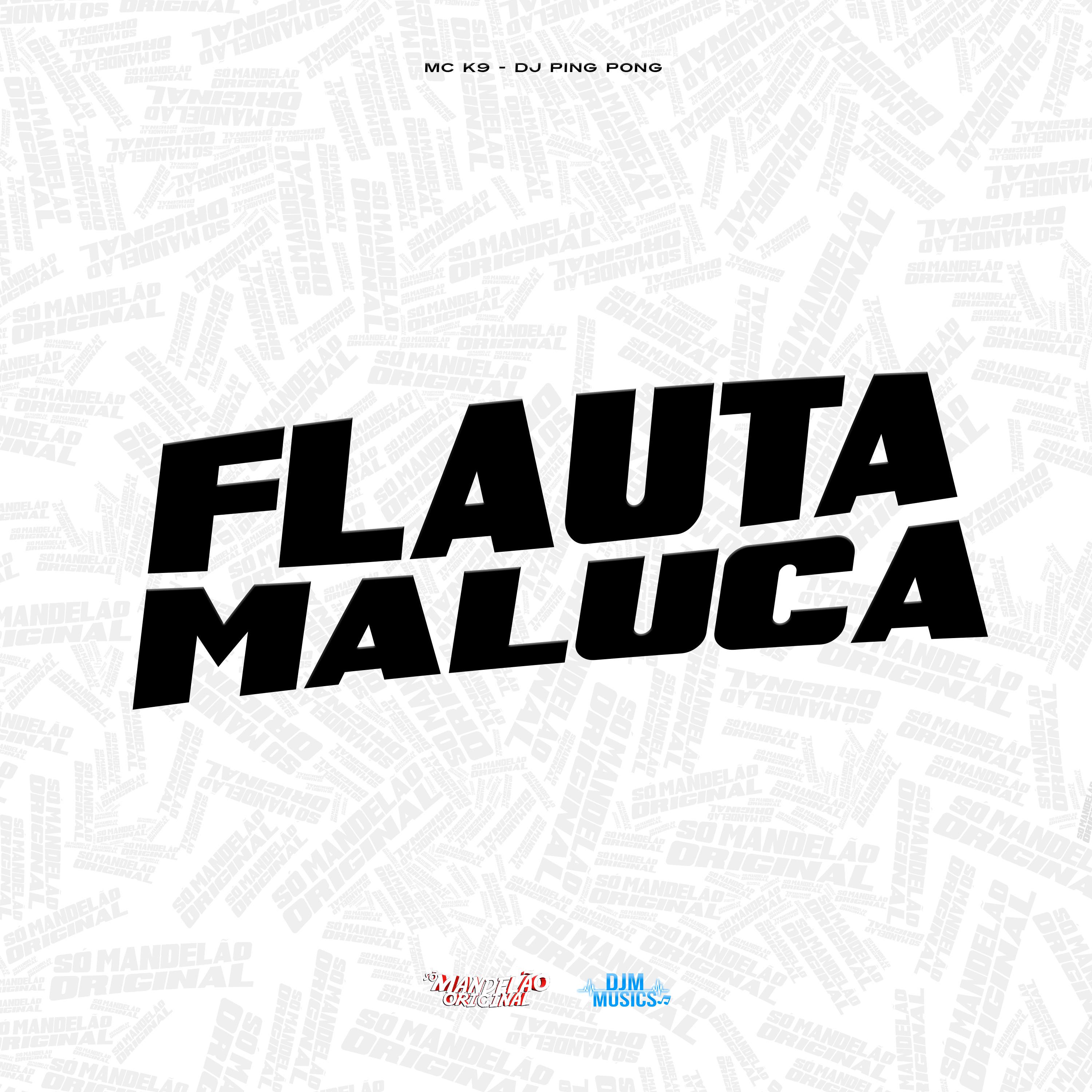 Постер альбома Flauta Maluca
