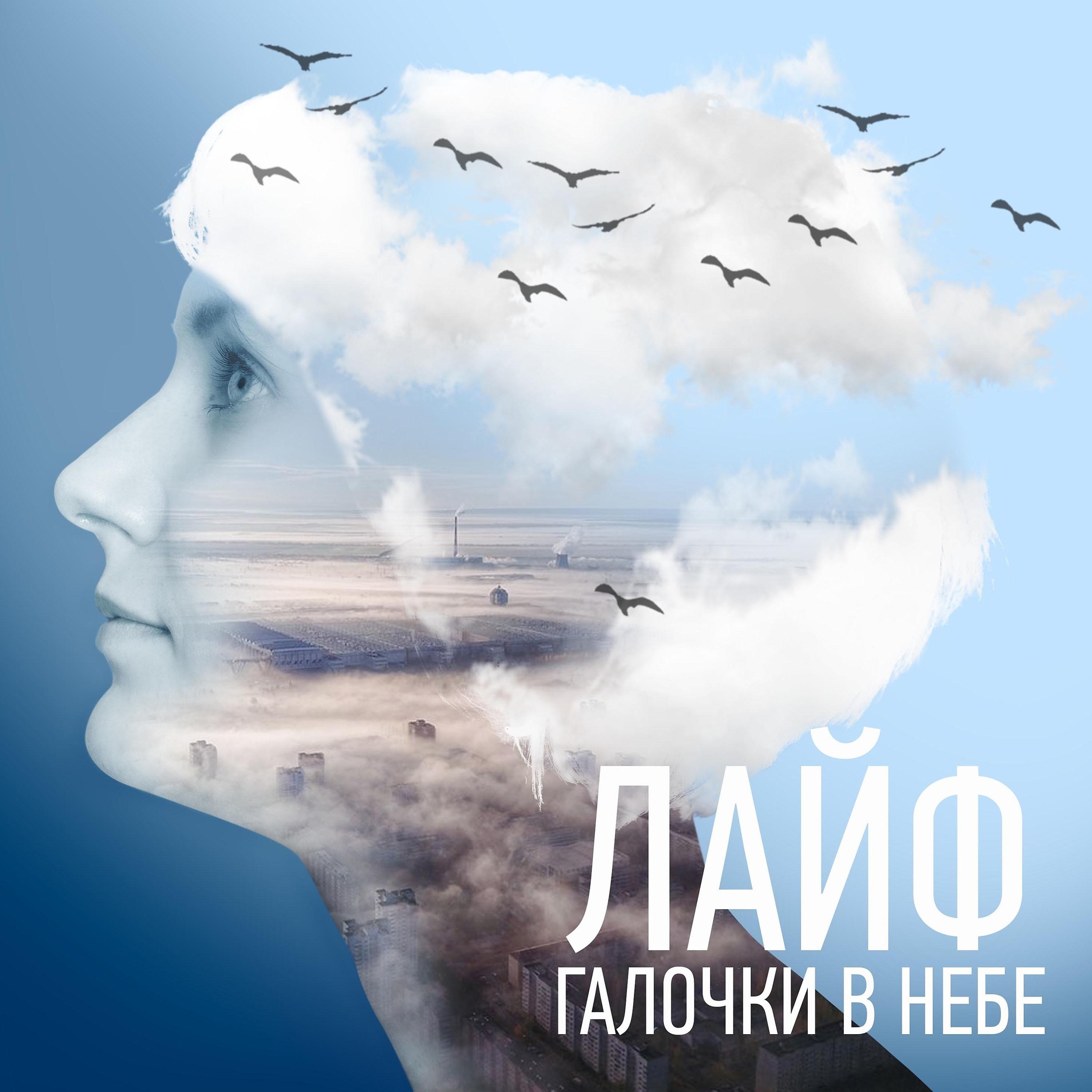 Постер альбома Галочки в небе