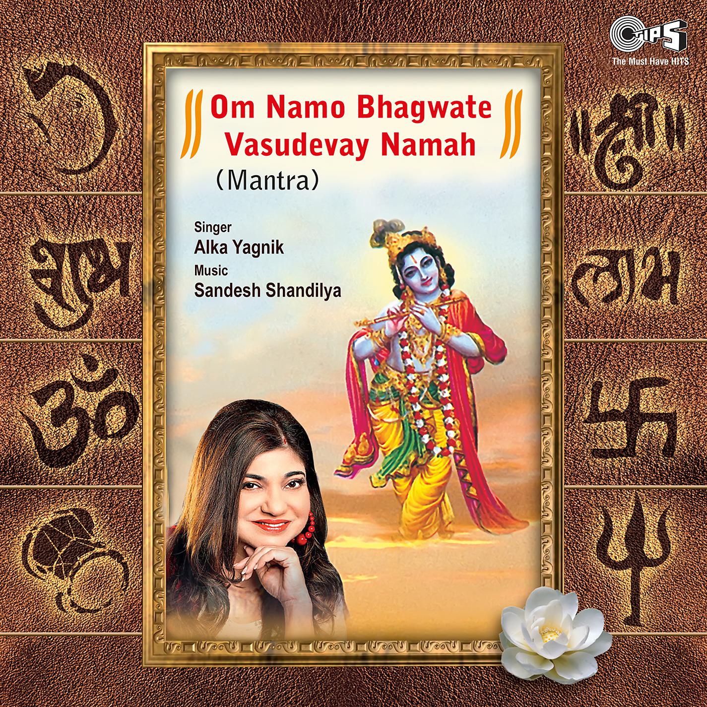 Постер альбома Om Namo Bhagwate Vasudevay Namah (Shiv Bhajan)