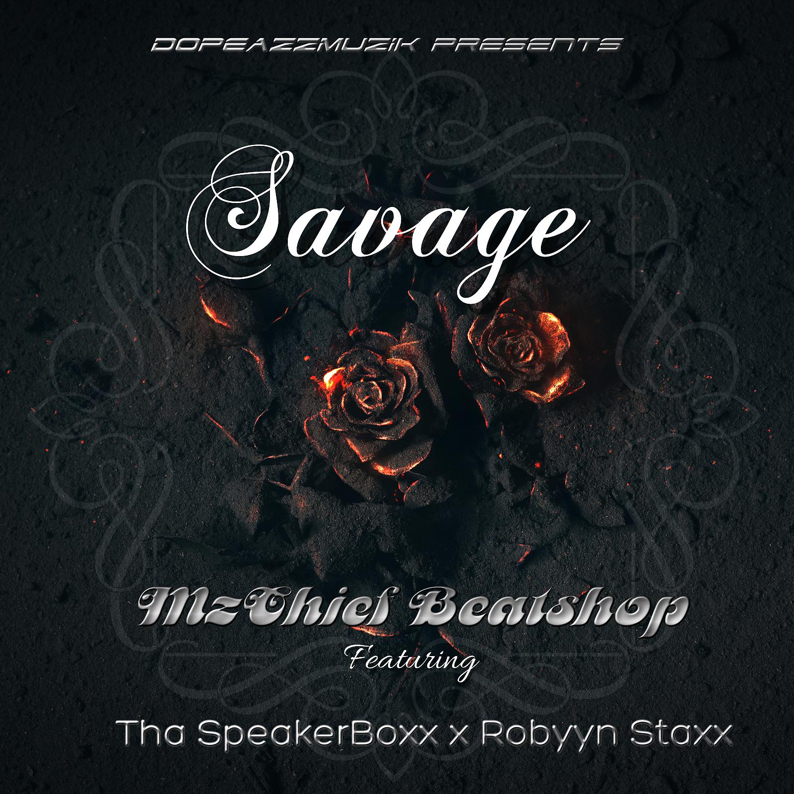 Постер альбома Savage 2.0 (feat. Tha Speakerboxx & Robyyn Staxx)