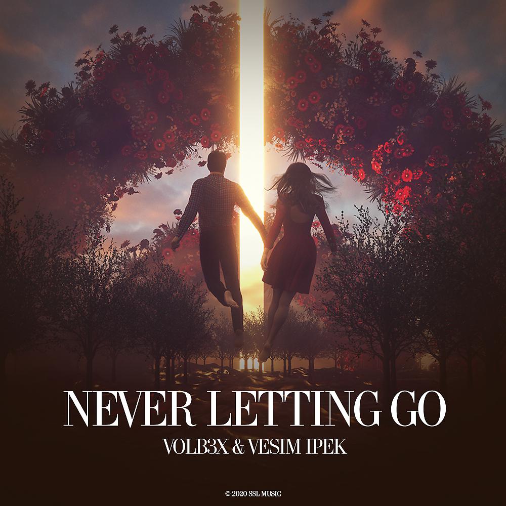 Постер альбома Never Letting Go