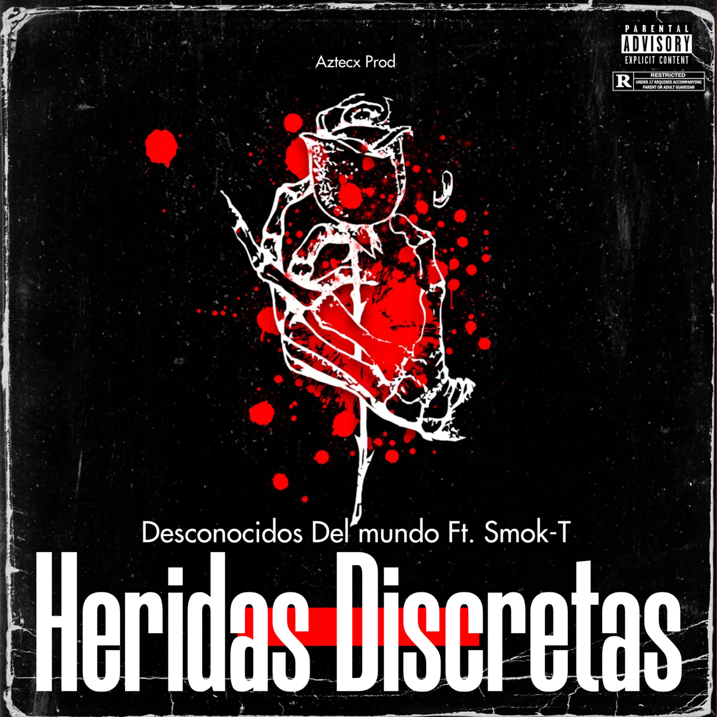 Постер альбома Heridas Discretas