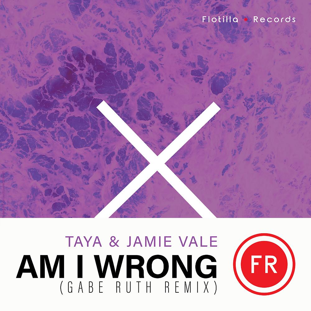 Постер альбома Am I Wrong (Gabe Ruth Remix)