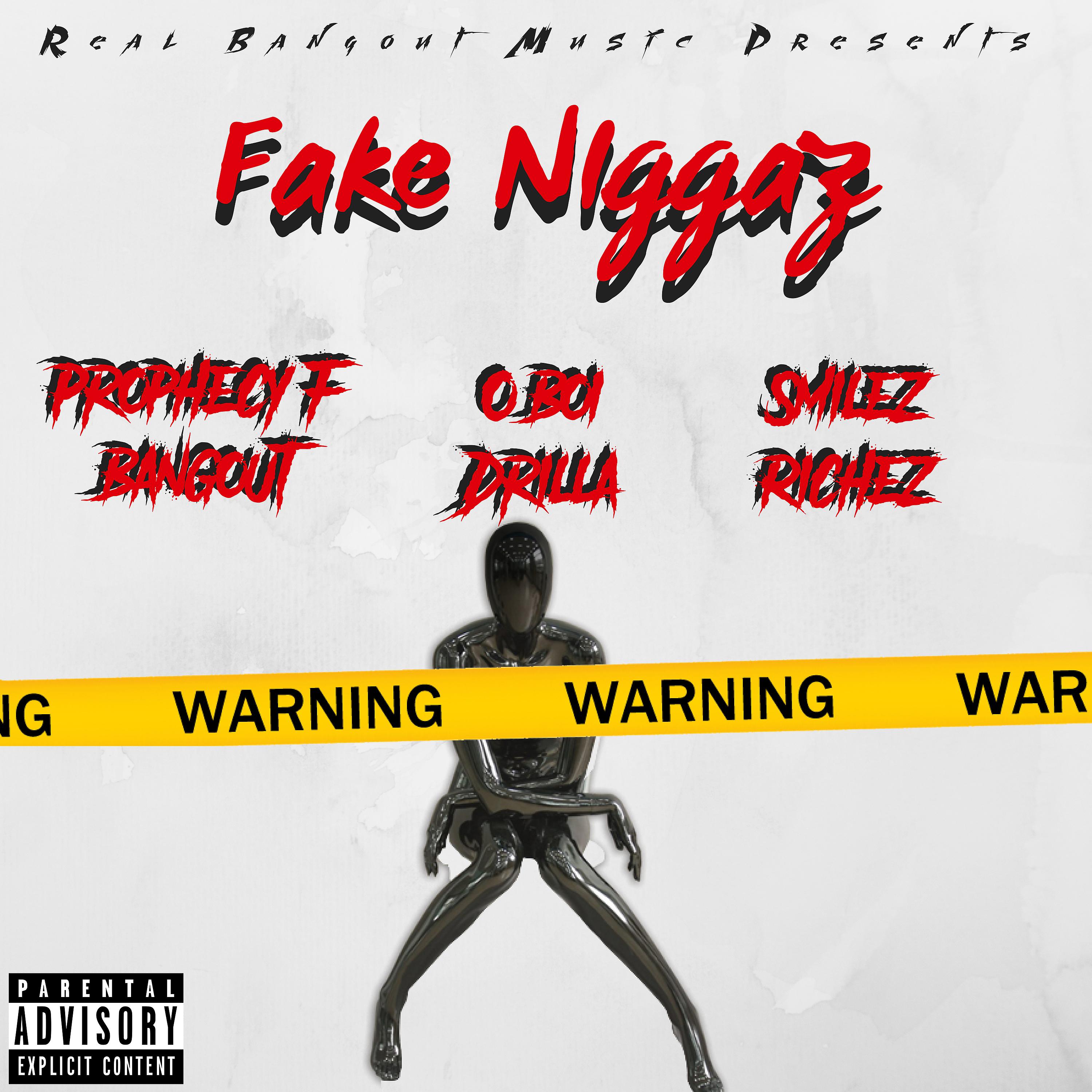 Постер альбома Fake Niggaz