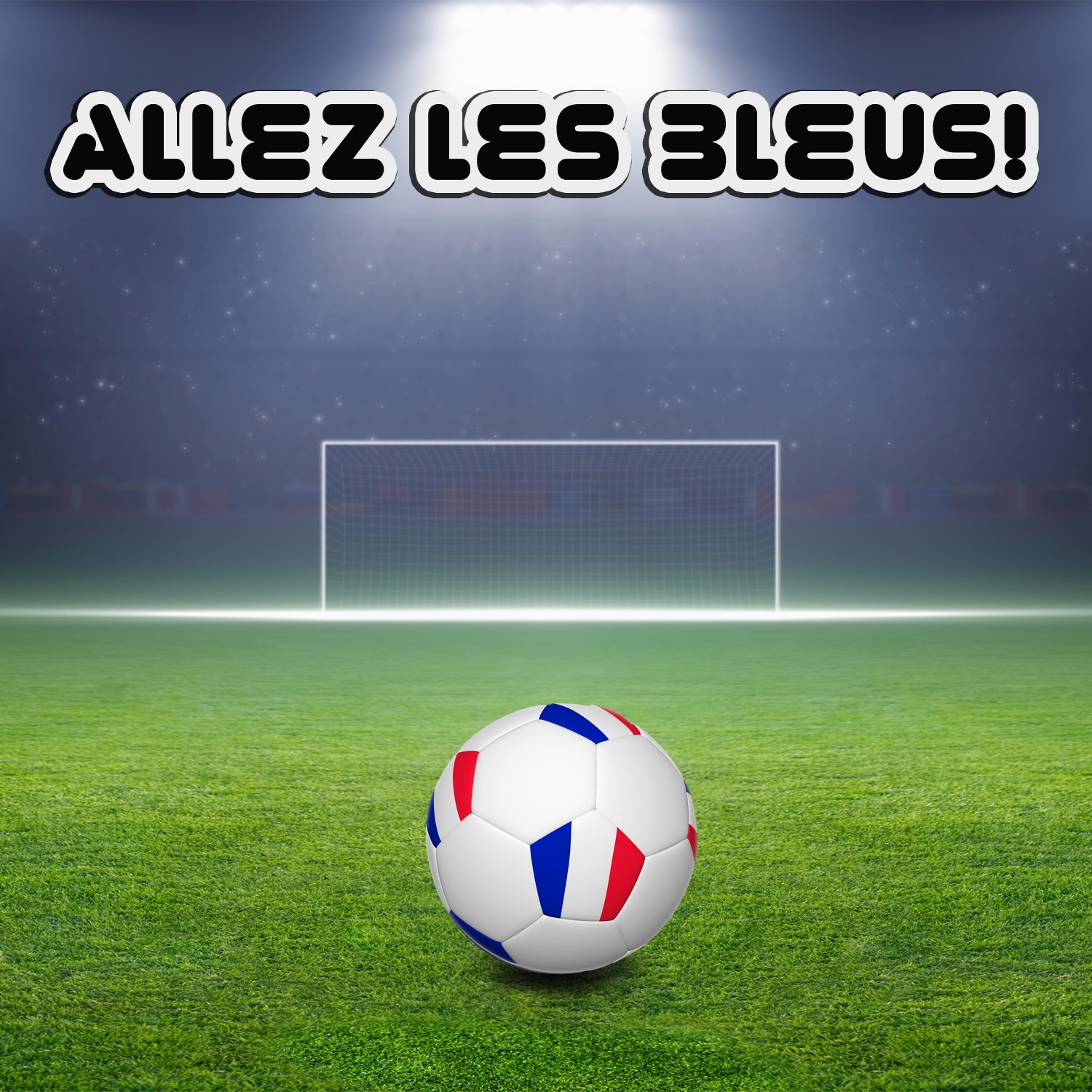 Постер альбома Allez Les Bleus! 20 chansons pour soutenir l'équipe de football de France