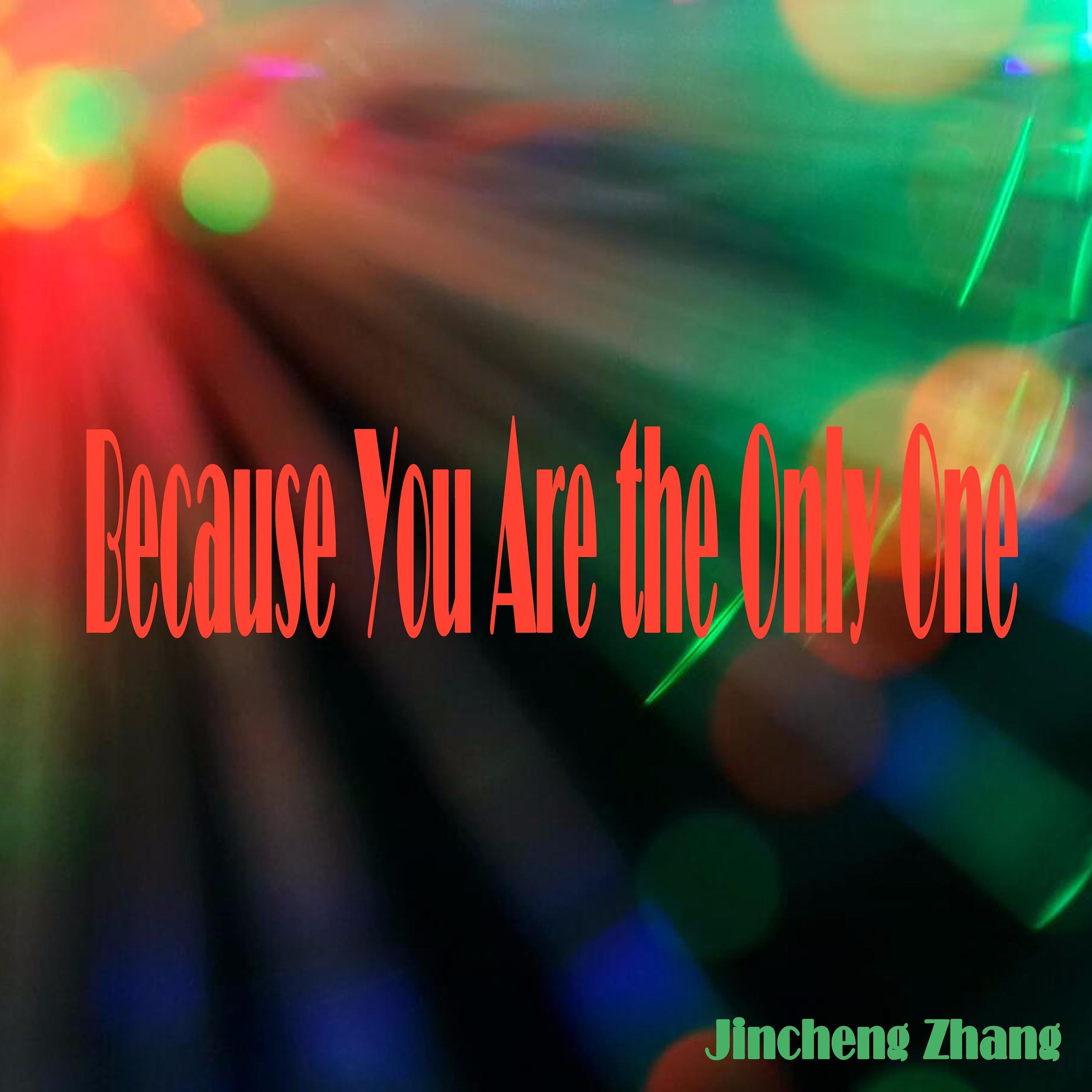 Постер альбома Because You Are the Only One