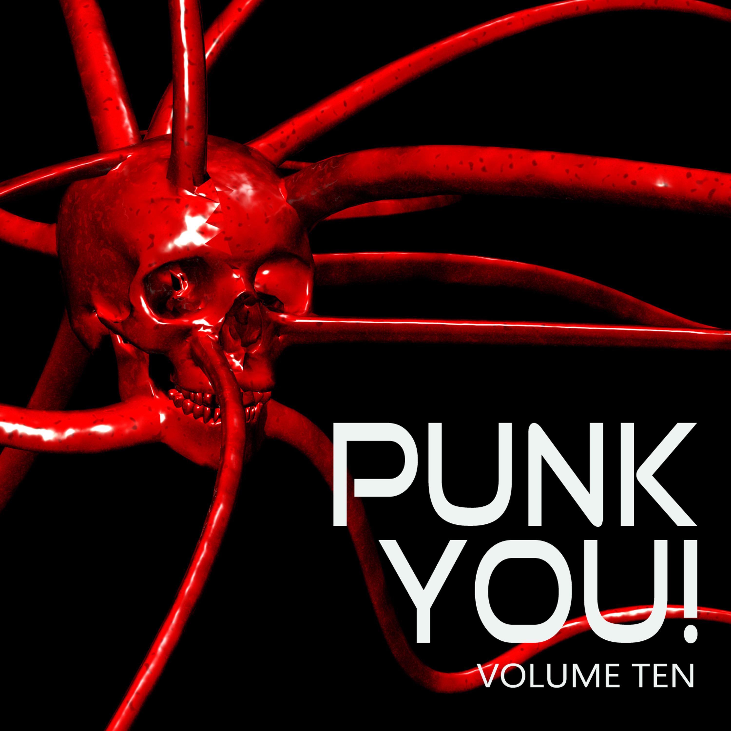 Постер альбома Punk You, Vol. 10