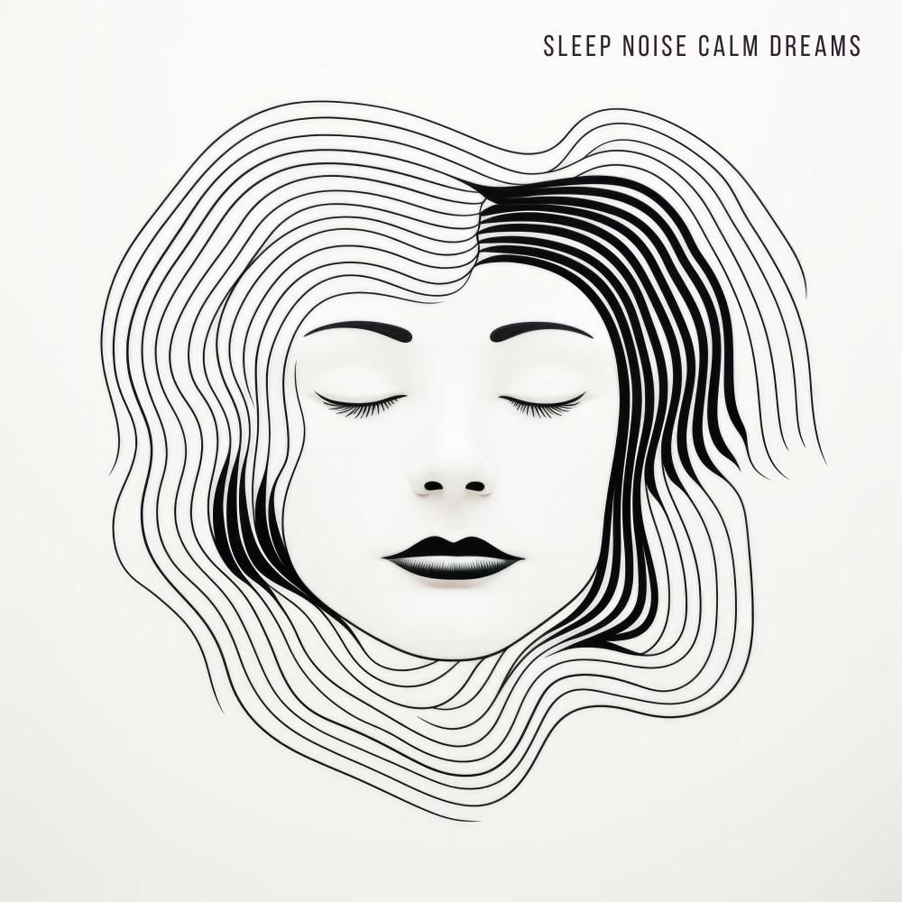 Постер альбома Sleep Noise Calm Dreams