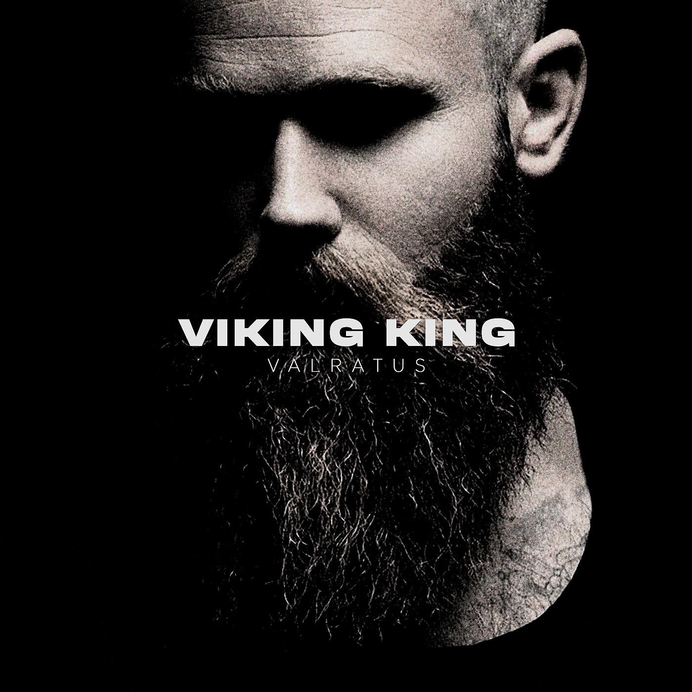 Постер альбома Viking King