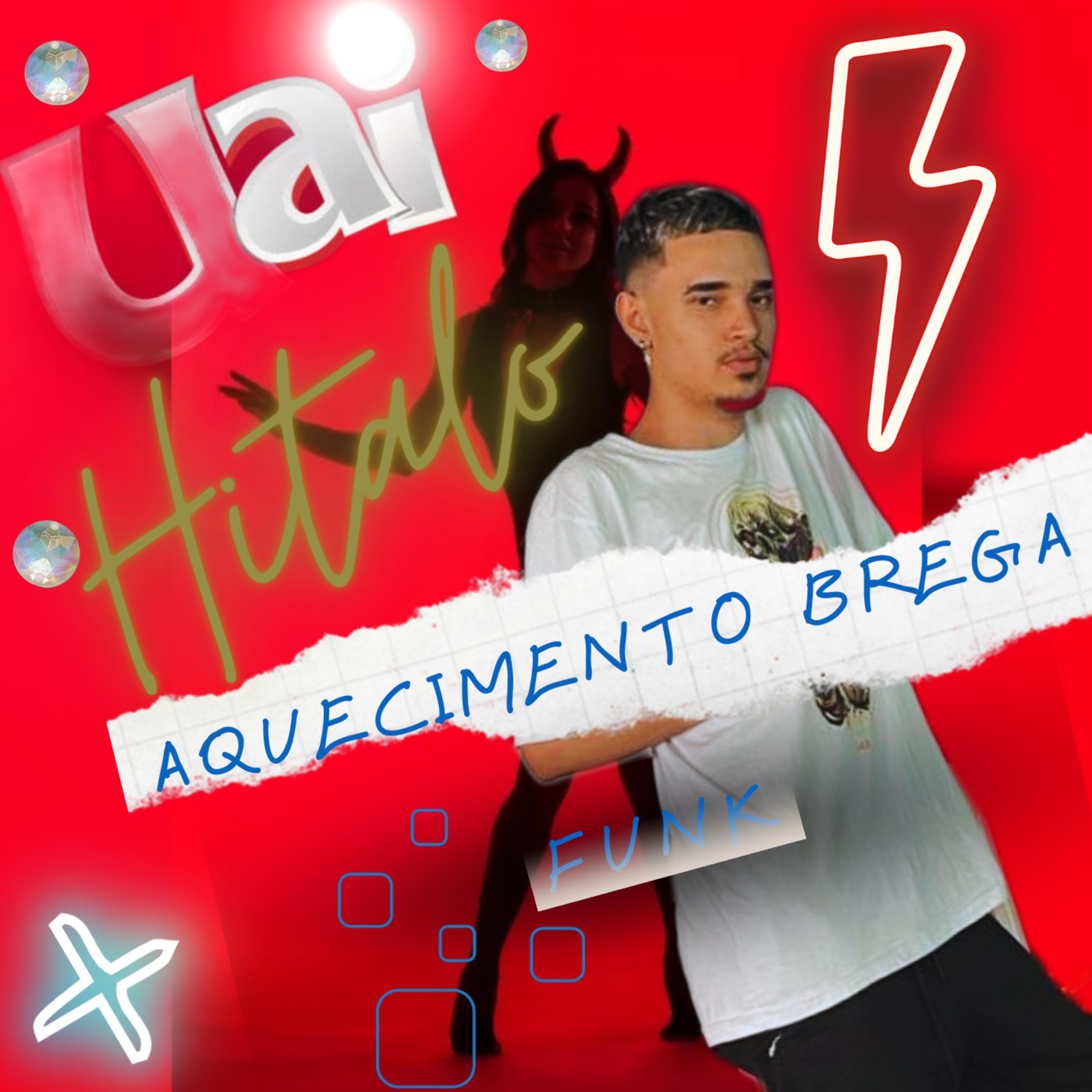 Постер альбома Aquecimento Brega Funk