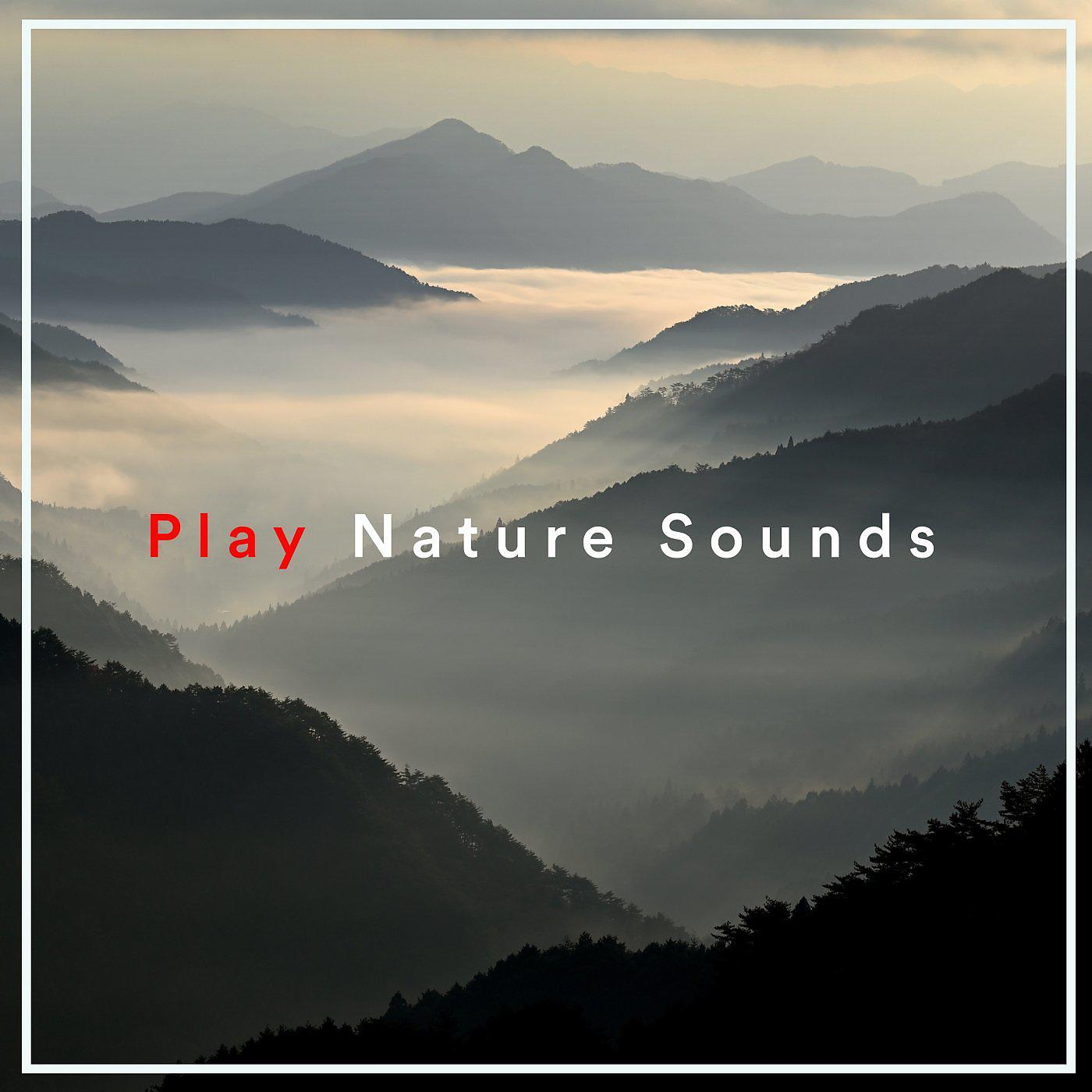 Постер альбома Play Nature Sounds