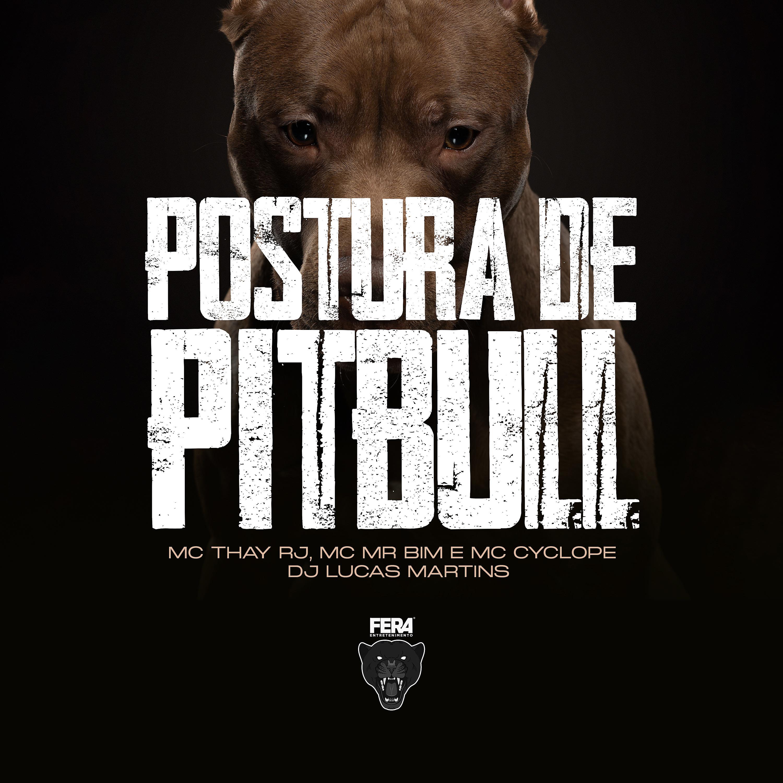 Постер альбома Postura de Pitbull