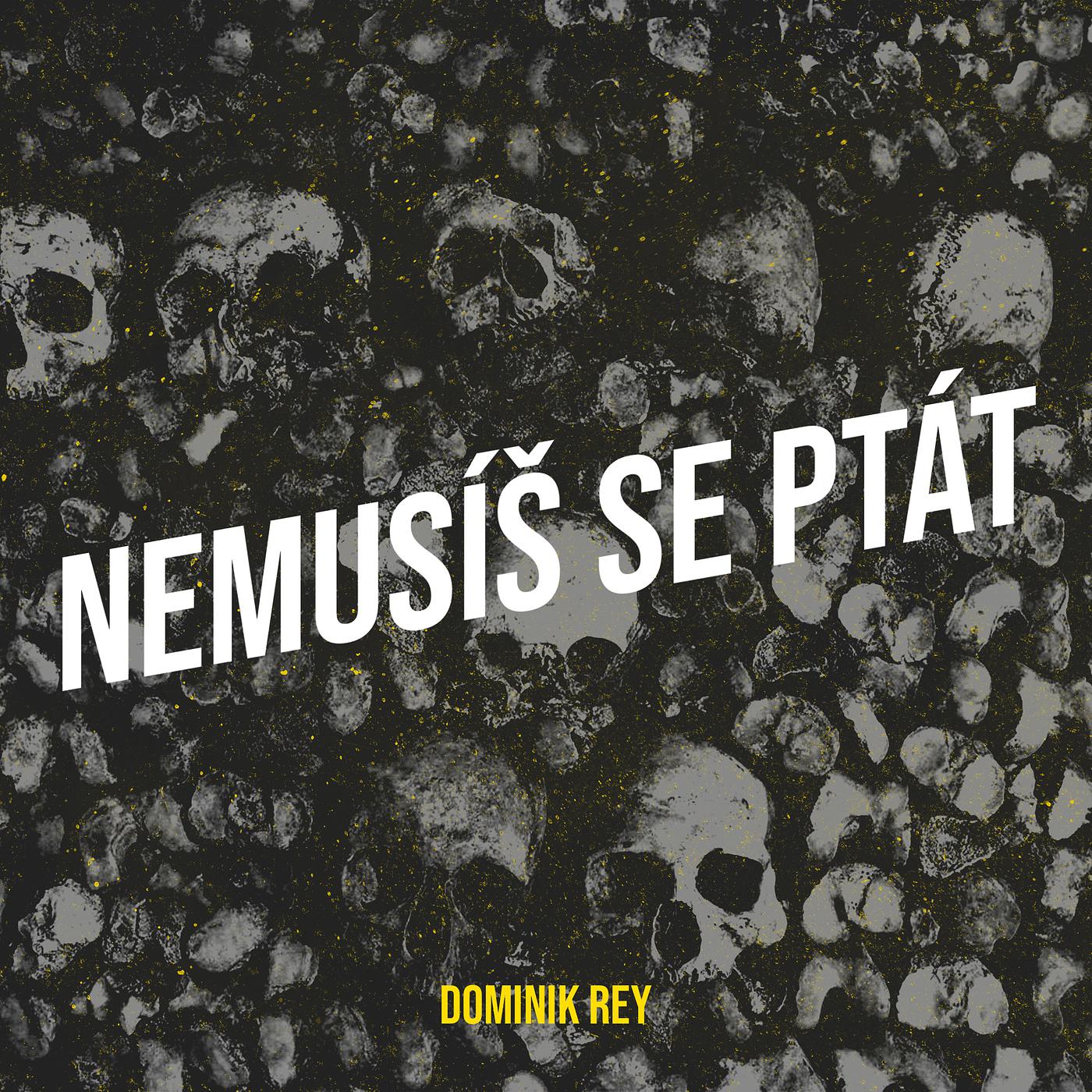 Постер альбома Nemusíš Se Ptát