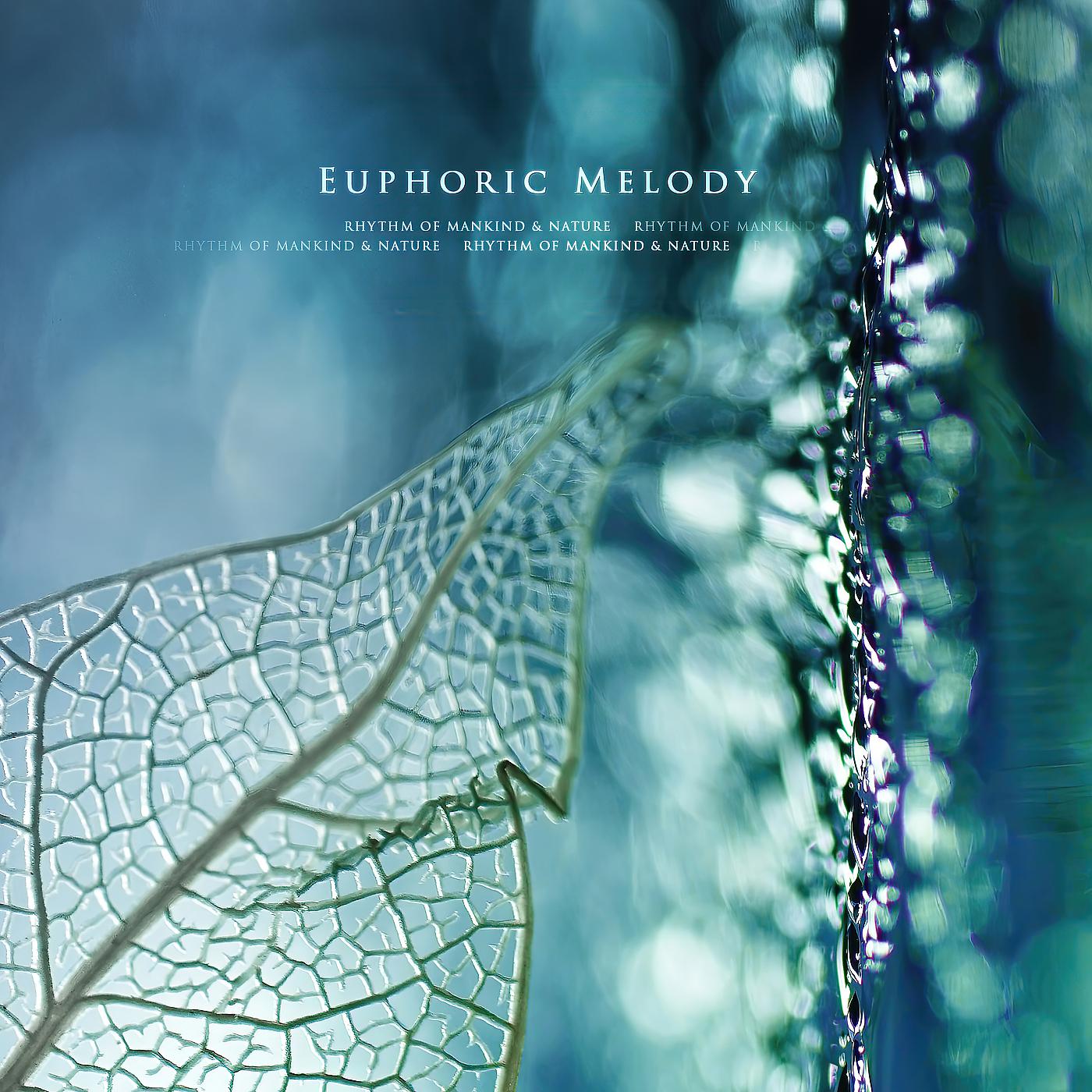 Постер альбома Euphoric Melody