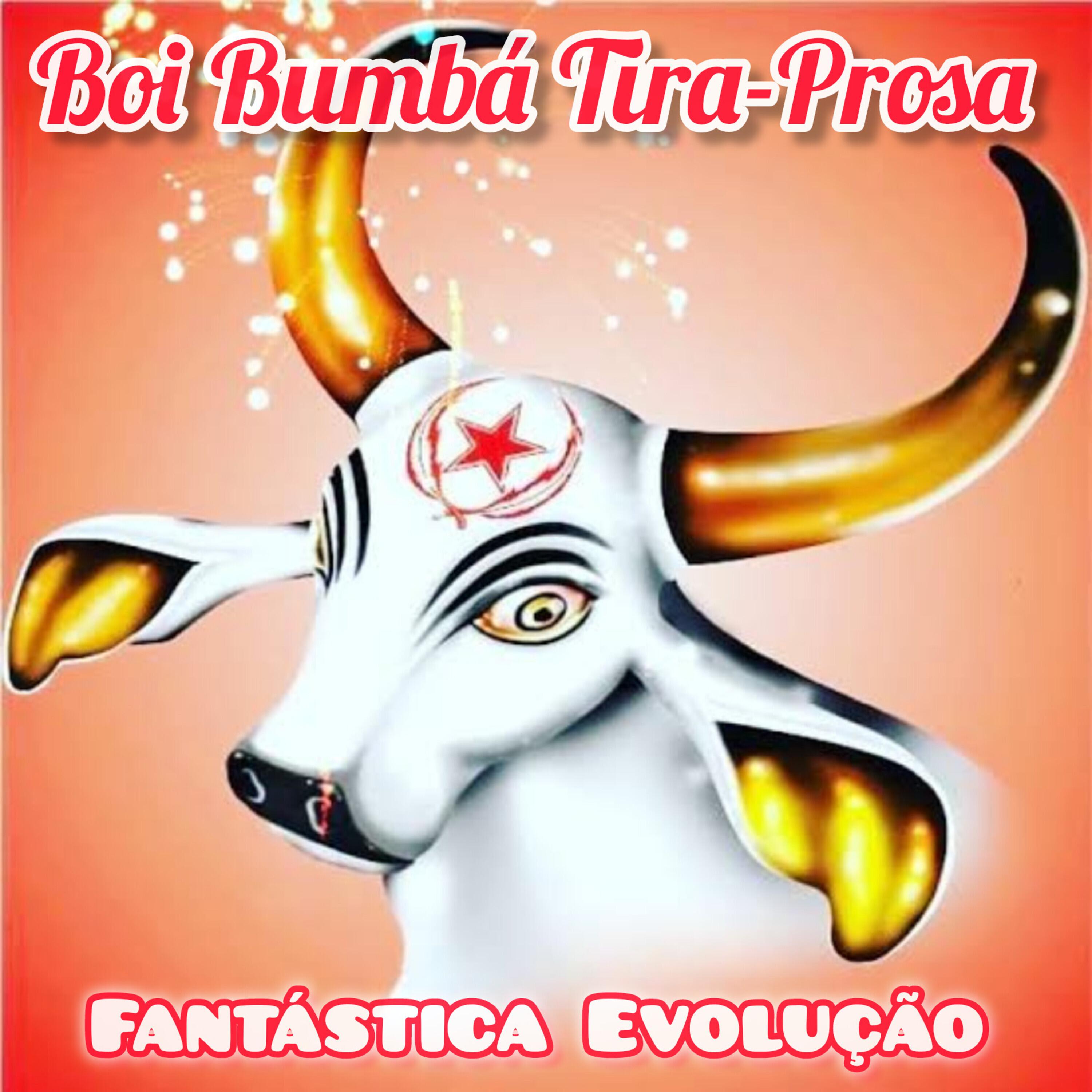 Постер альбома Fantástica Evolução