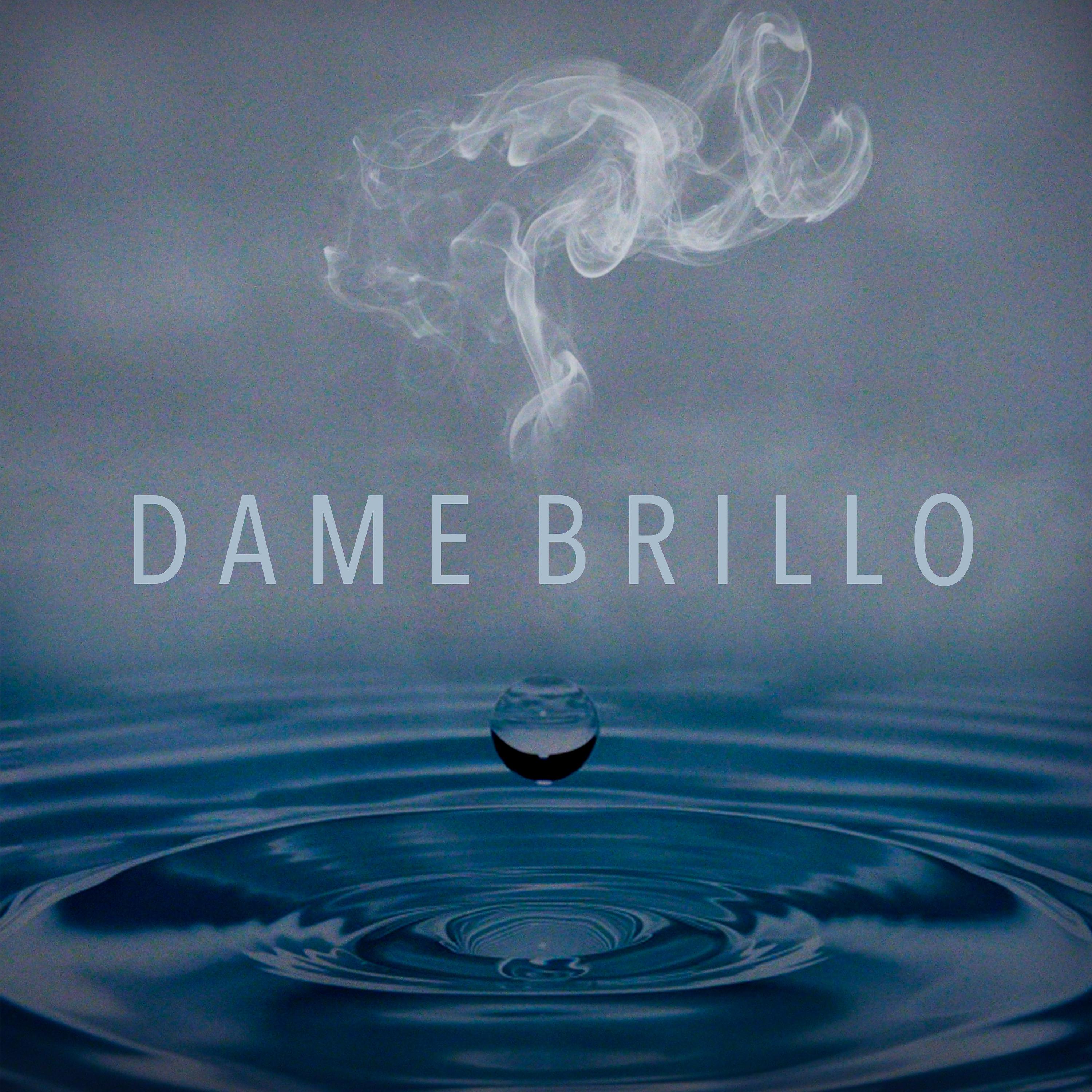 Постер альбома Dame Brillo
