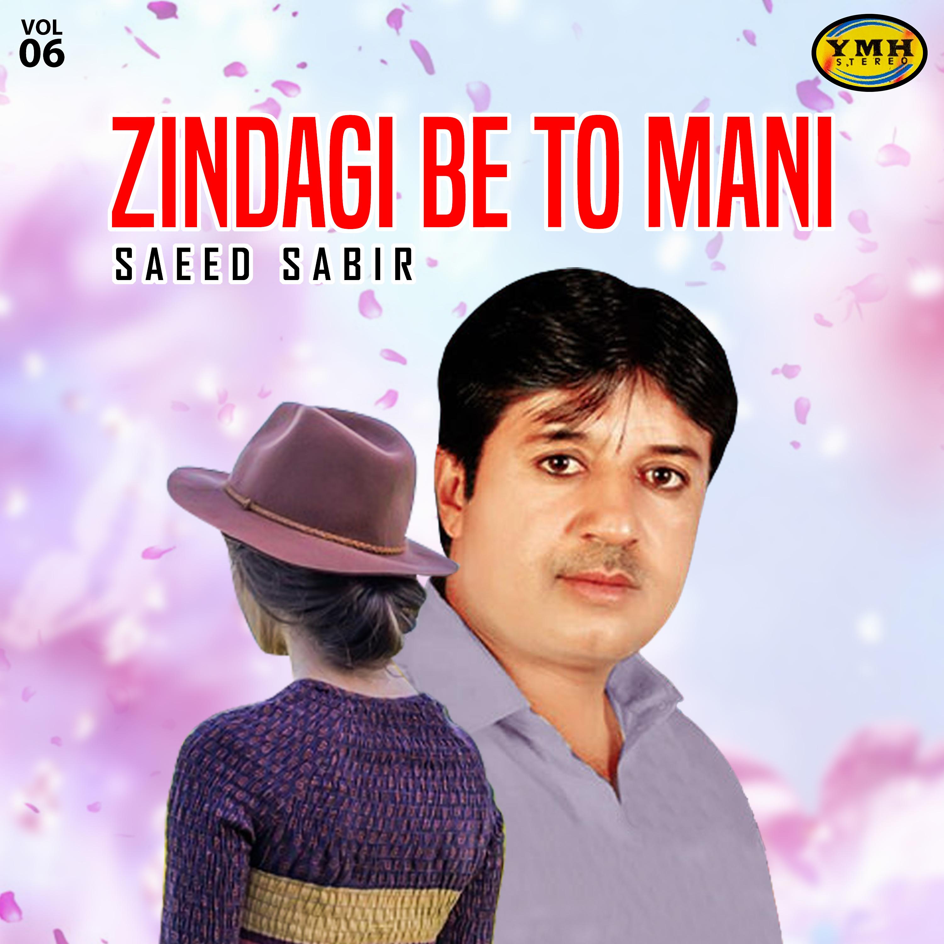 Постер альбома Zindagi Be To Mani, Vol. 6