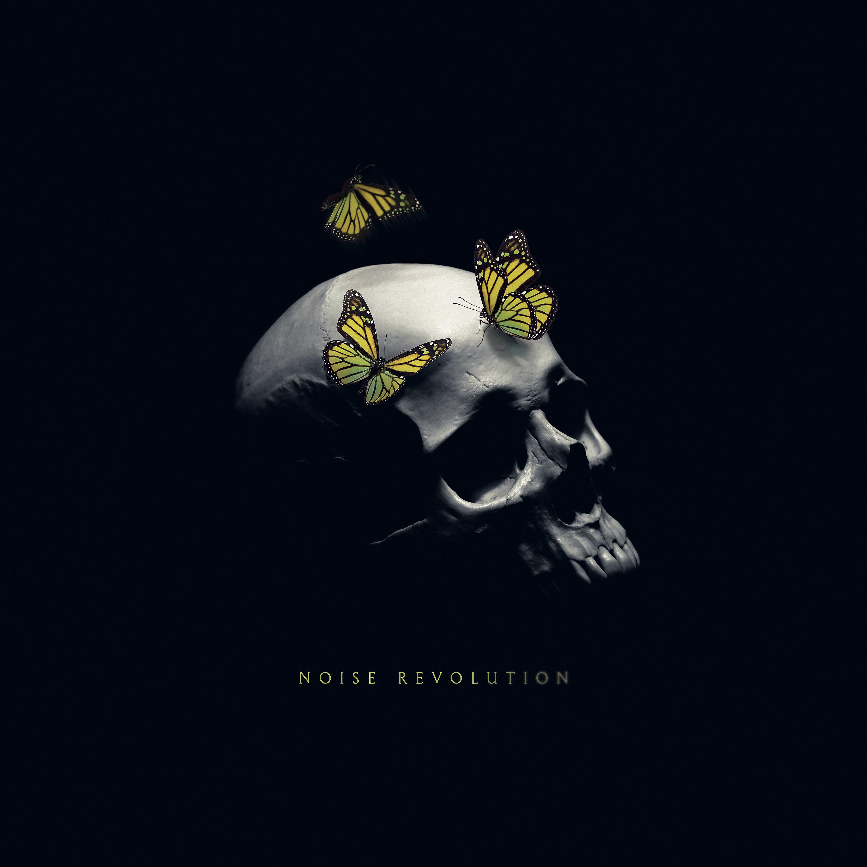 Постер альбома Noise Revolution