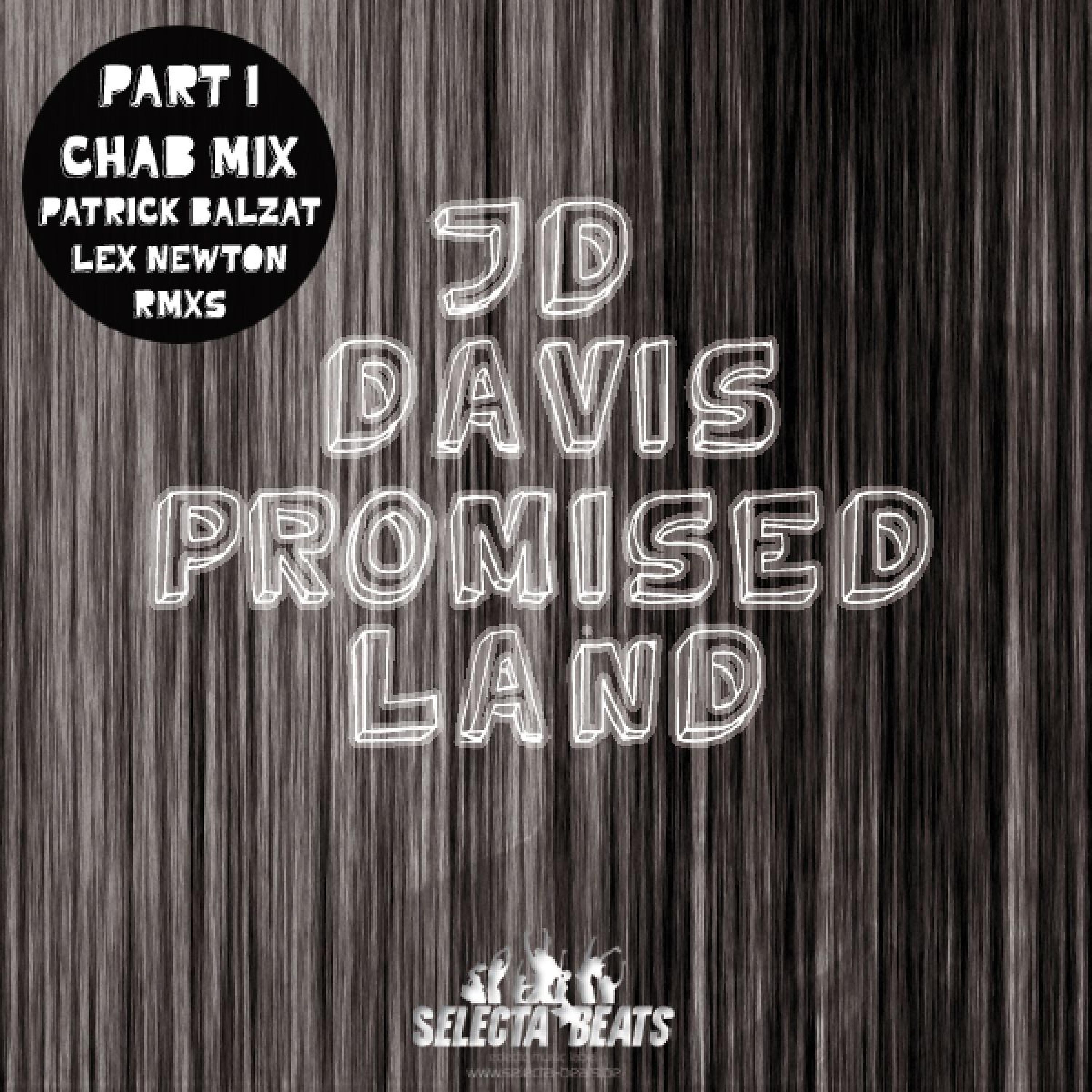 Постер альбома Promised Land 2010 (Pt. One)